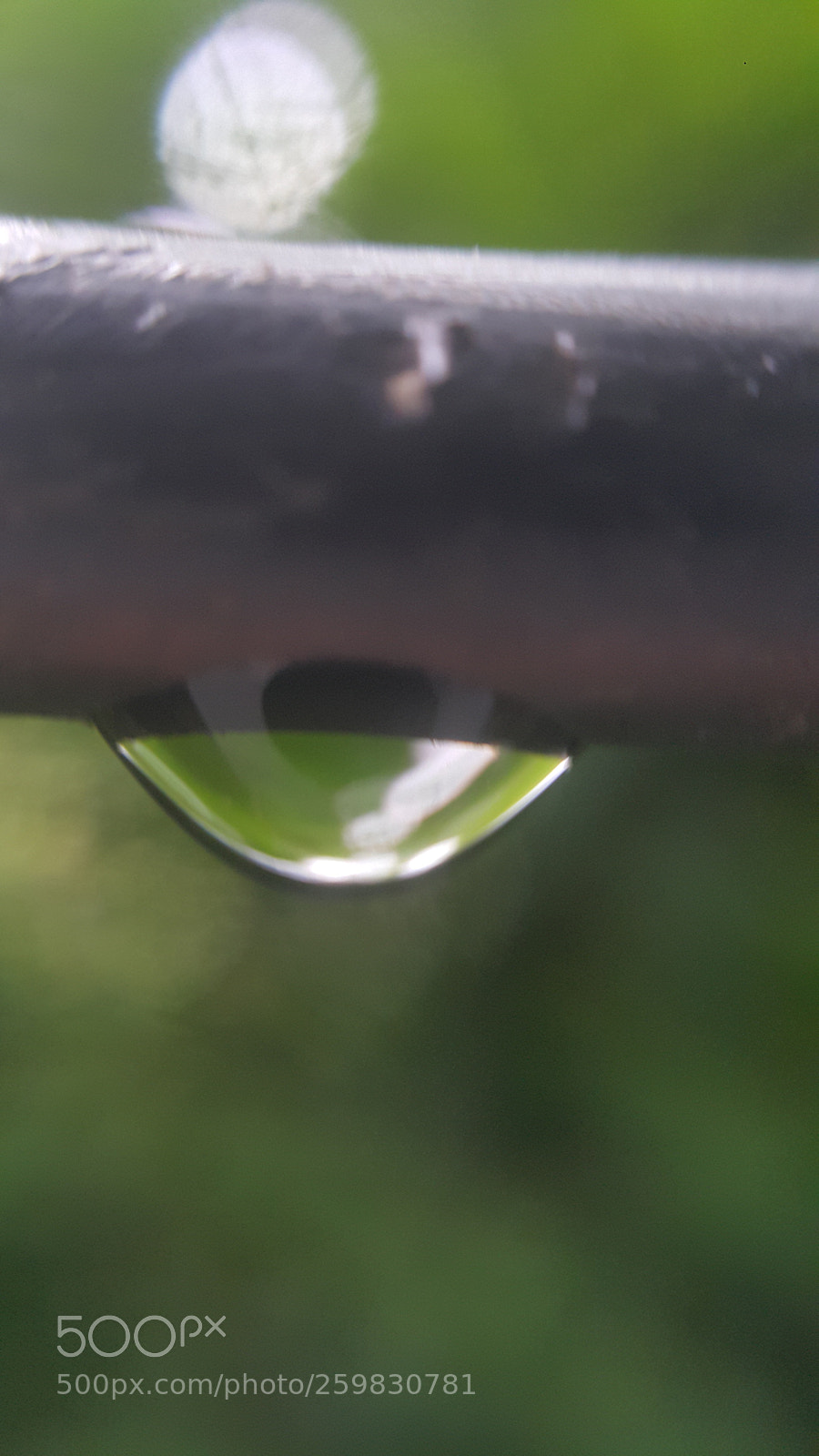 Samsung Galaxy Note4 sample photo. Gota de agua photography