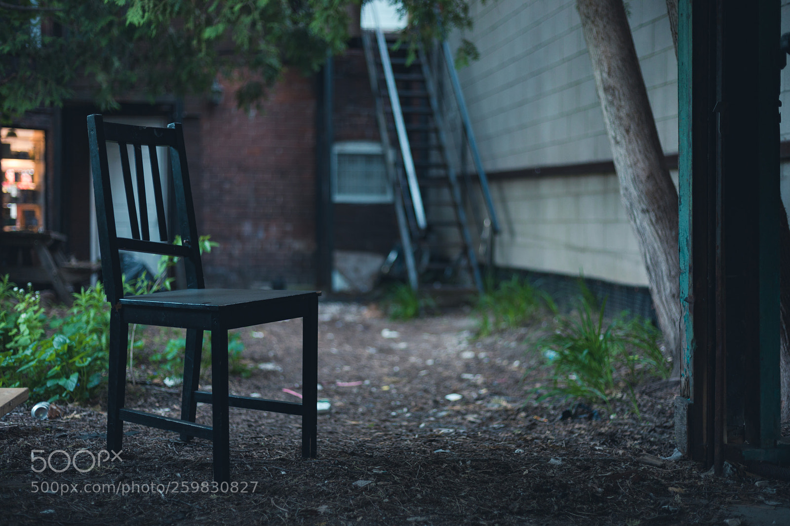 Canon EOS 5D Mark IV sample photo. Lost and forgotten photography