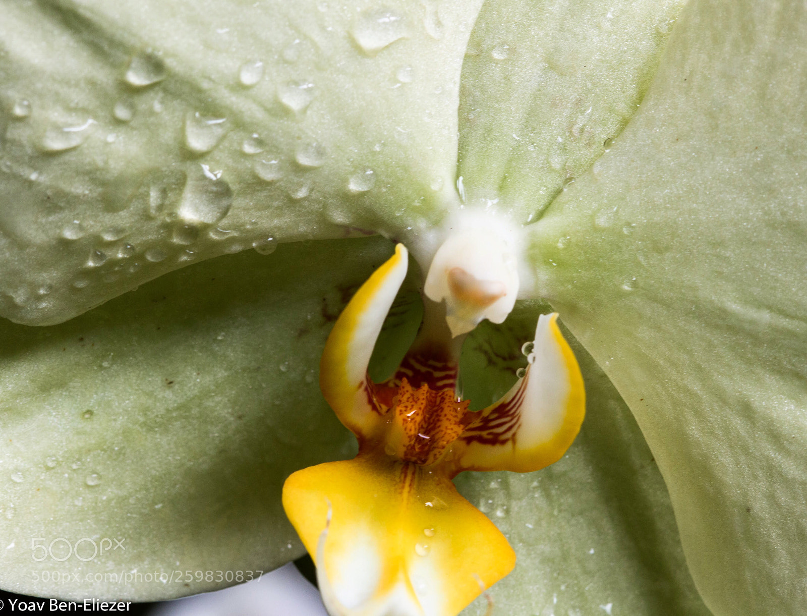 Canon EOS 70D sample photo. Untitled photography