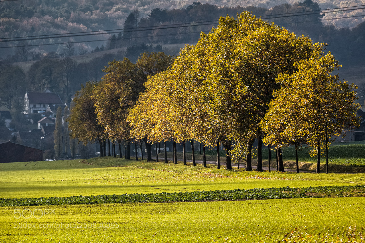 Canon EOS 760D (EOS Rebel T6s / EOS 8000D) sample photo. Lumi re sur les photography