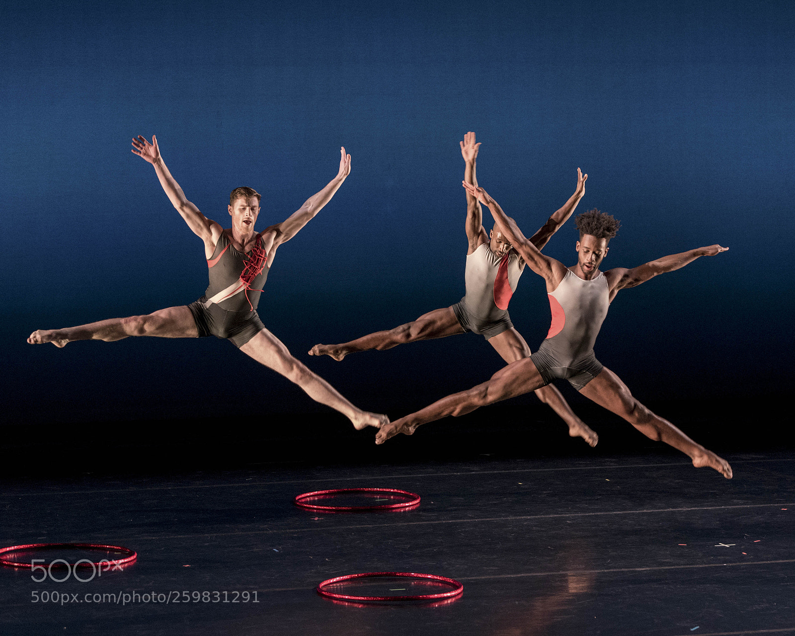 Nikon D750 sample photo. Carolyn dorfman dance celebrates photography
