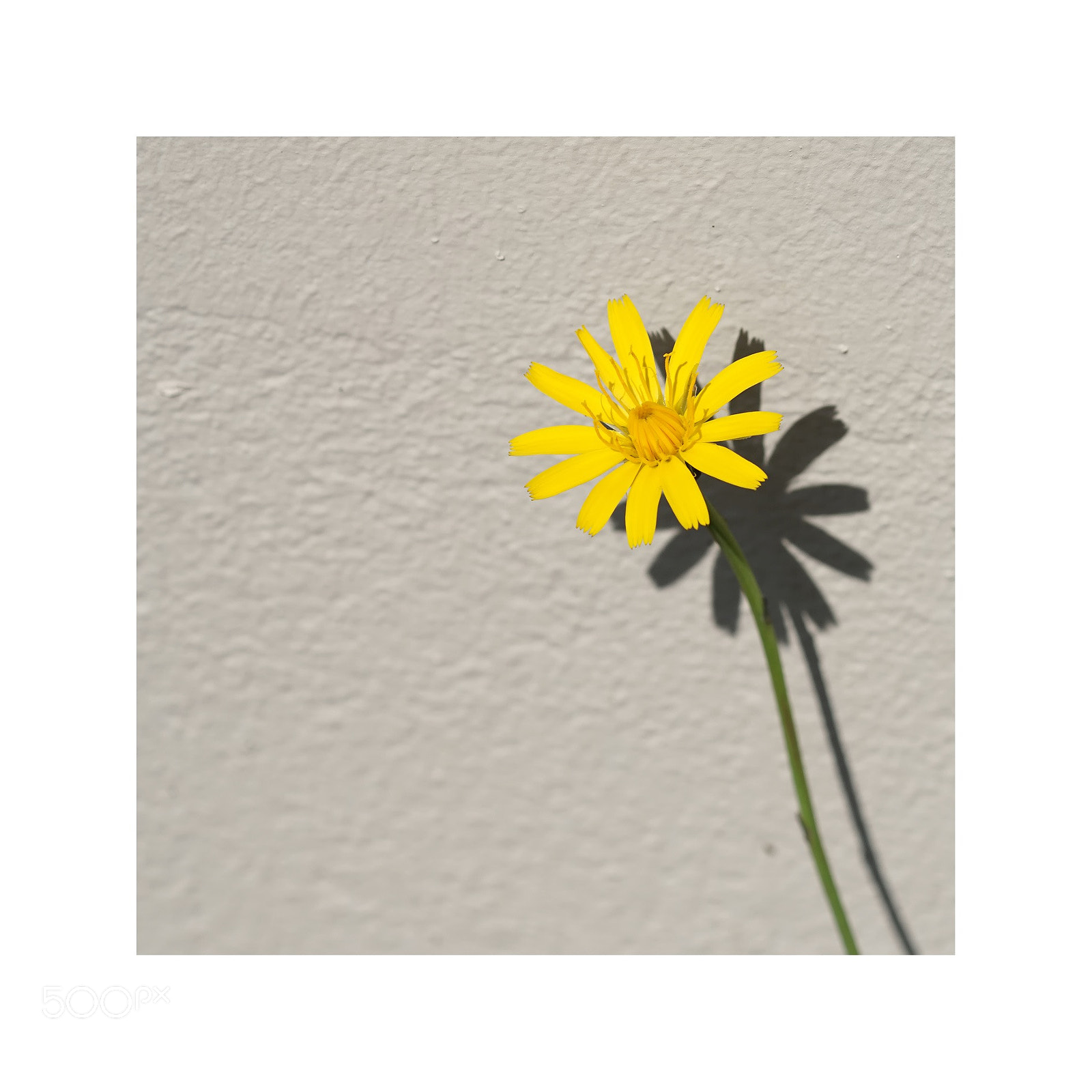 Sony ILCA-77M2 sample photo. Minimalisme photography