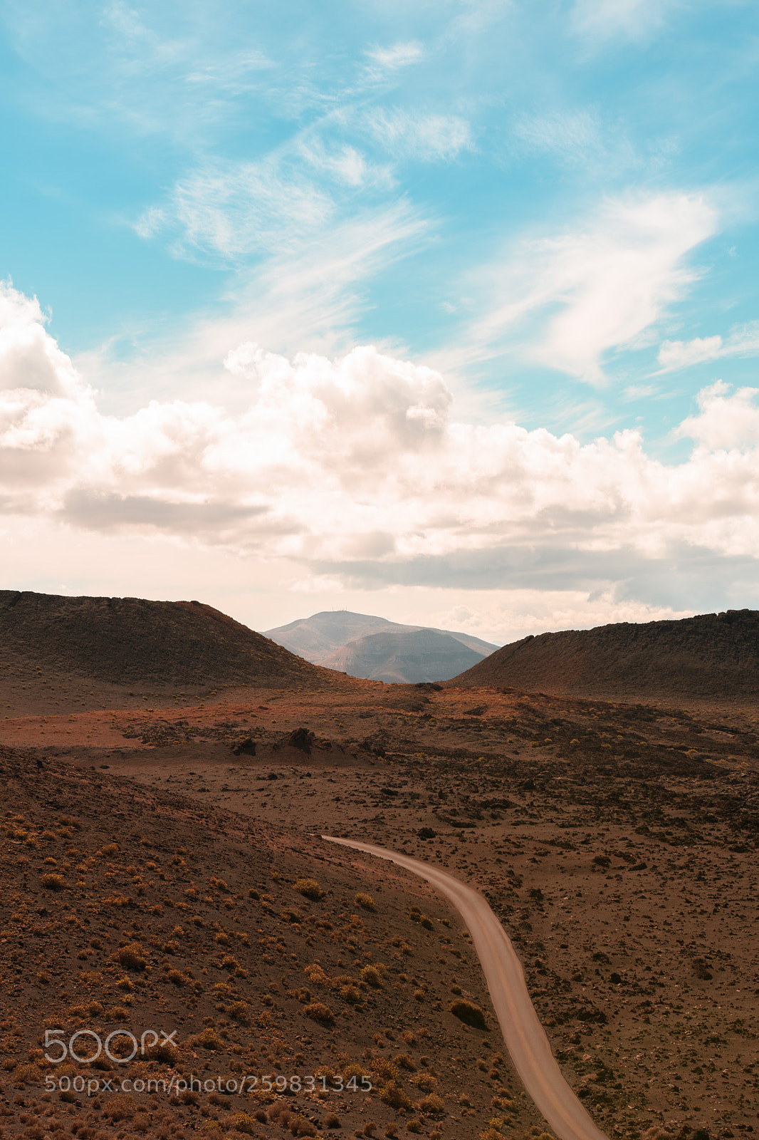 Nikon D500 sample photo. Life on mars. photography