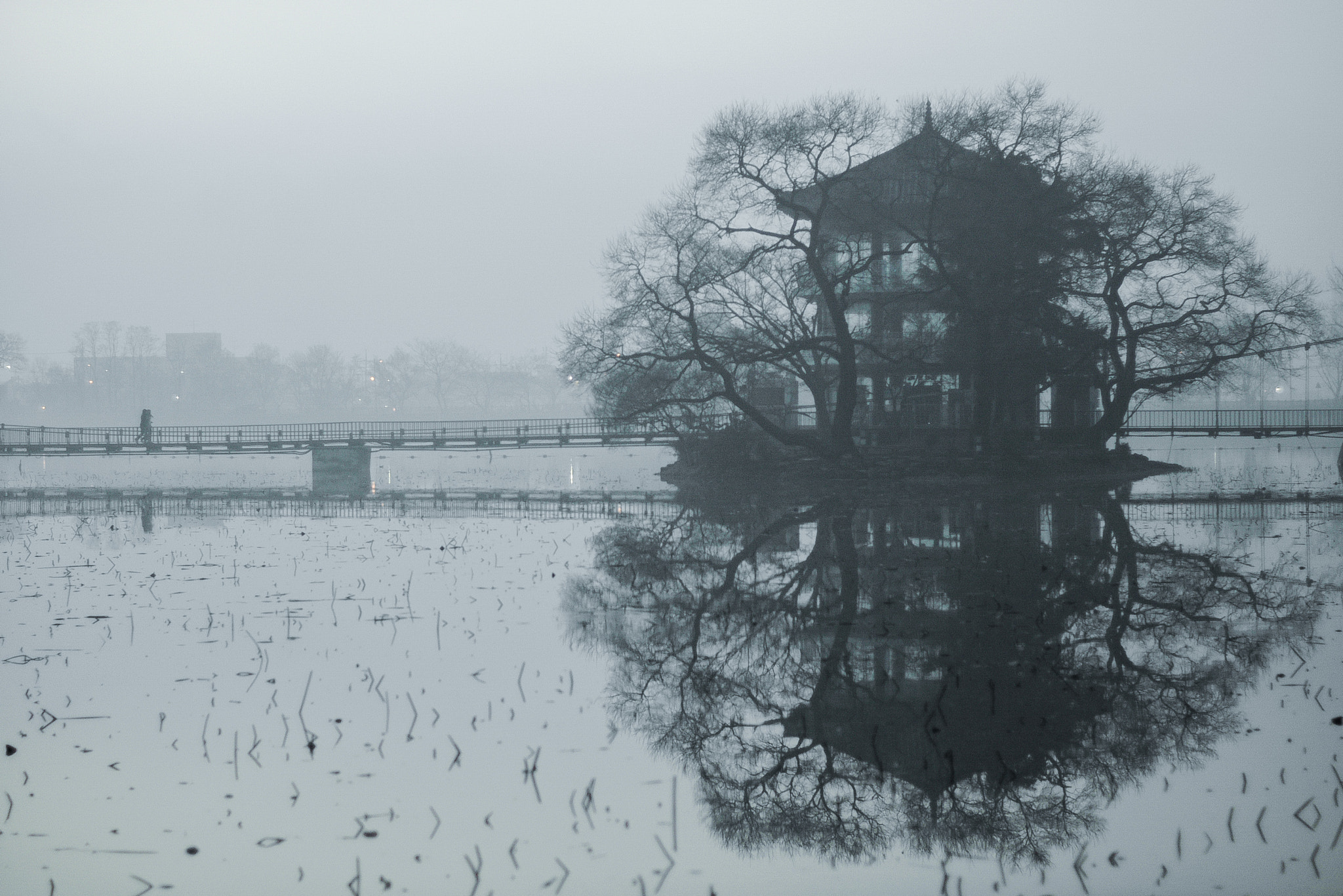 KYOCERA CONTAX N DIGITAL sample photo. Dreary landscape photography