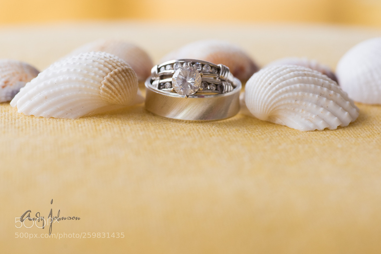 Nikon D750 sample photo. With this ring ! photography