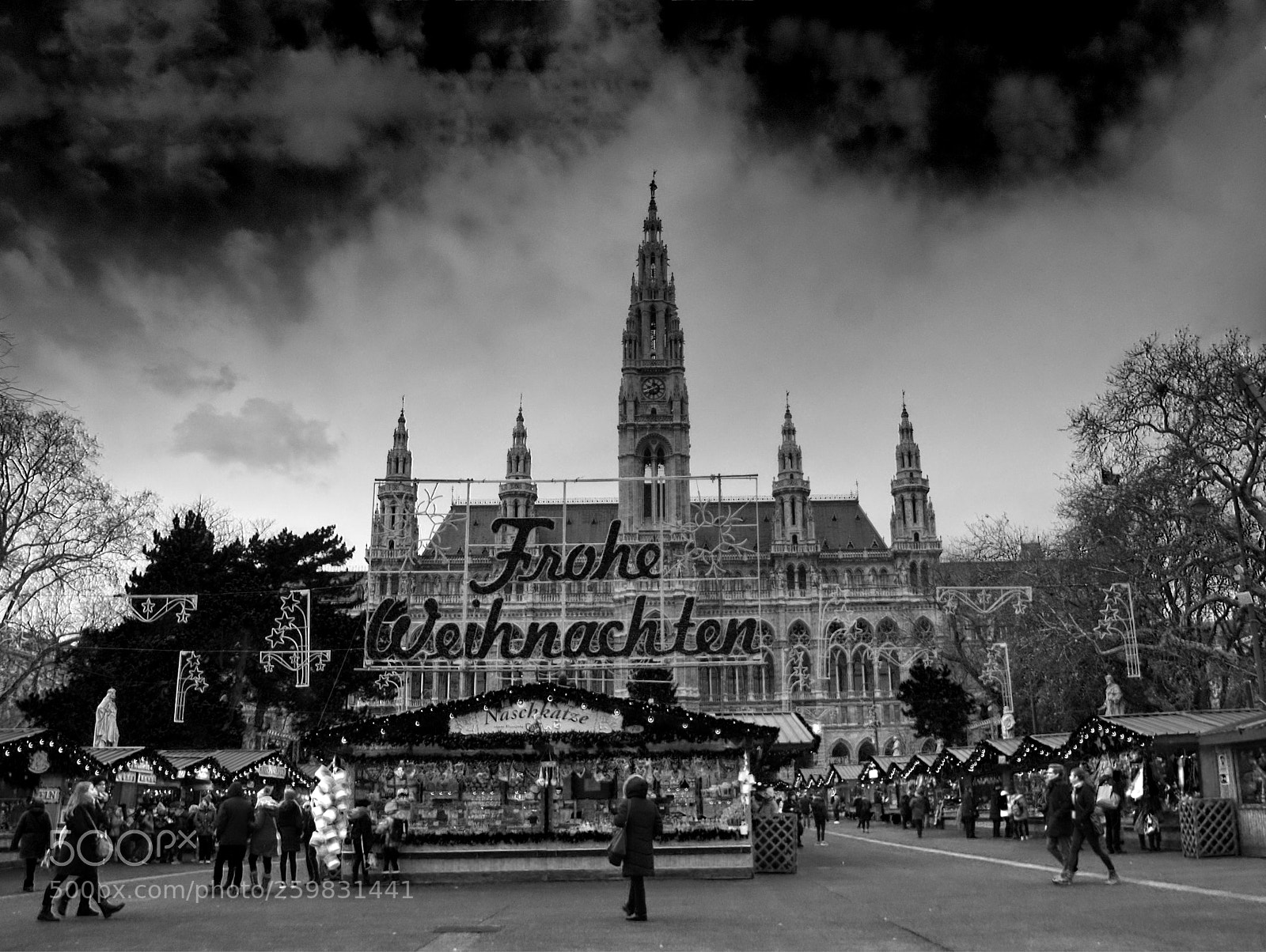 Sony SLT-A58 sample photo. Rathaus wien photography