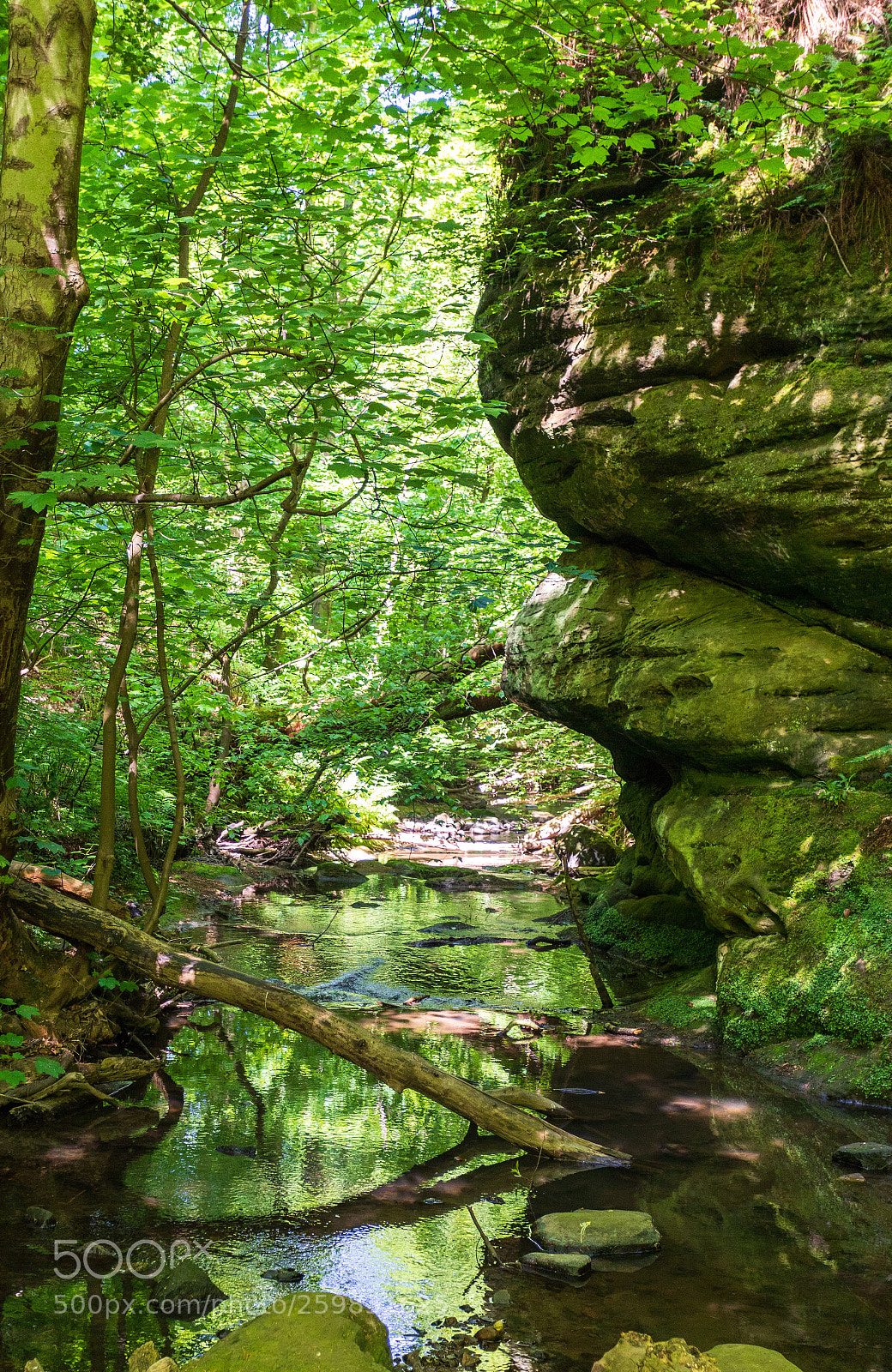 Canon EOS 5D Mark IV sample photo. Dunino den, fife photography