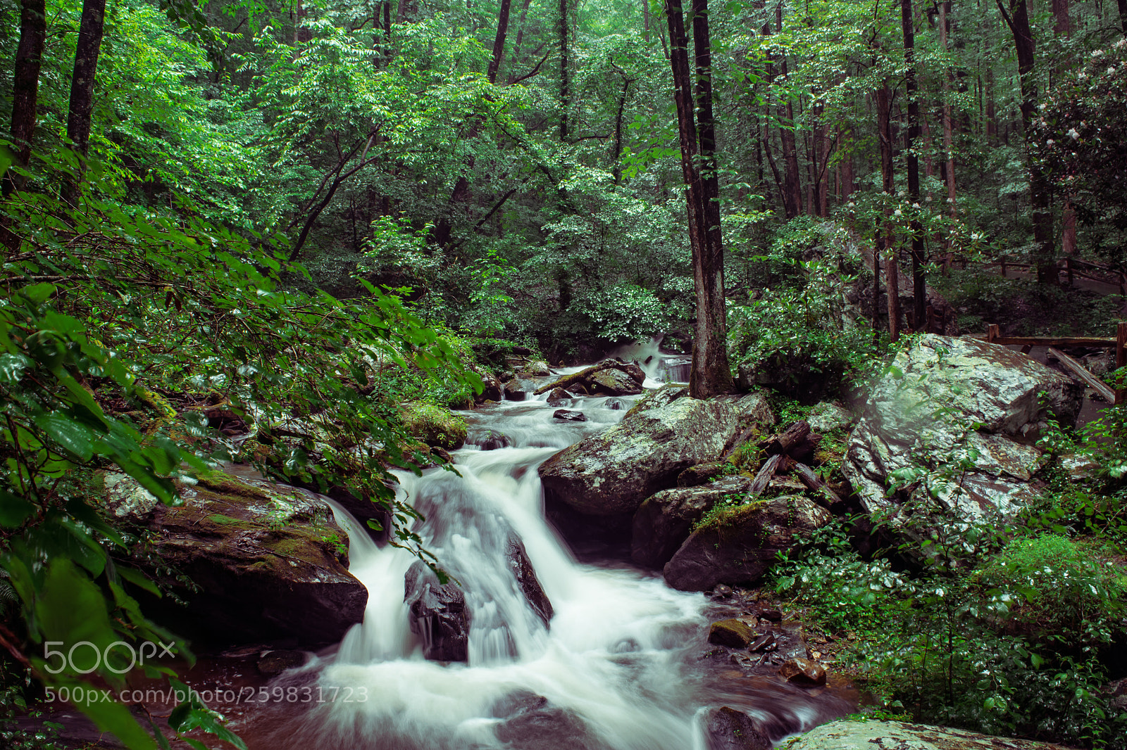 Nikon D3300 sample photo. Anna ruby falls photography