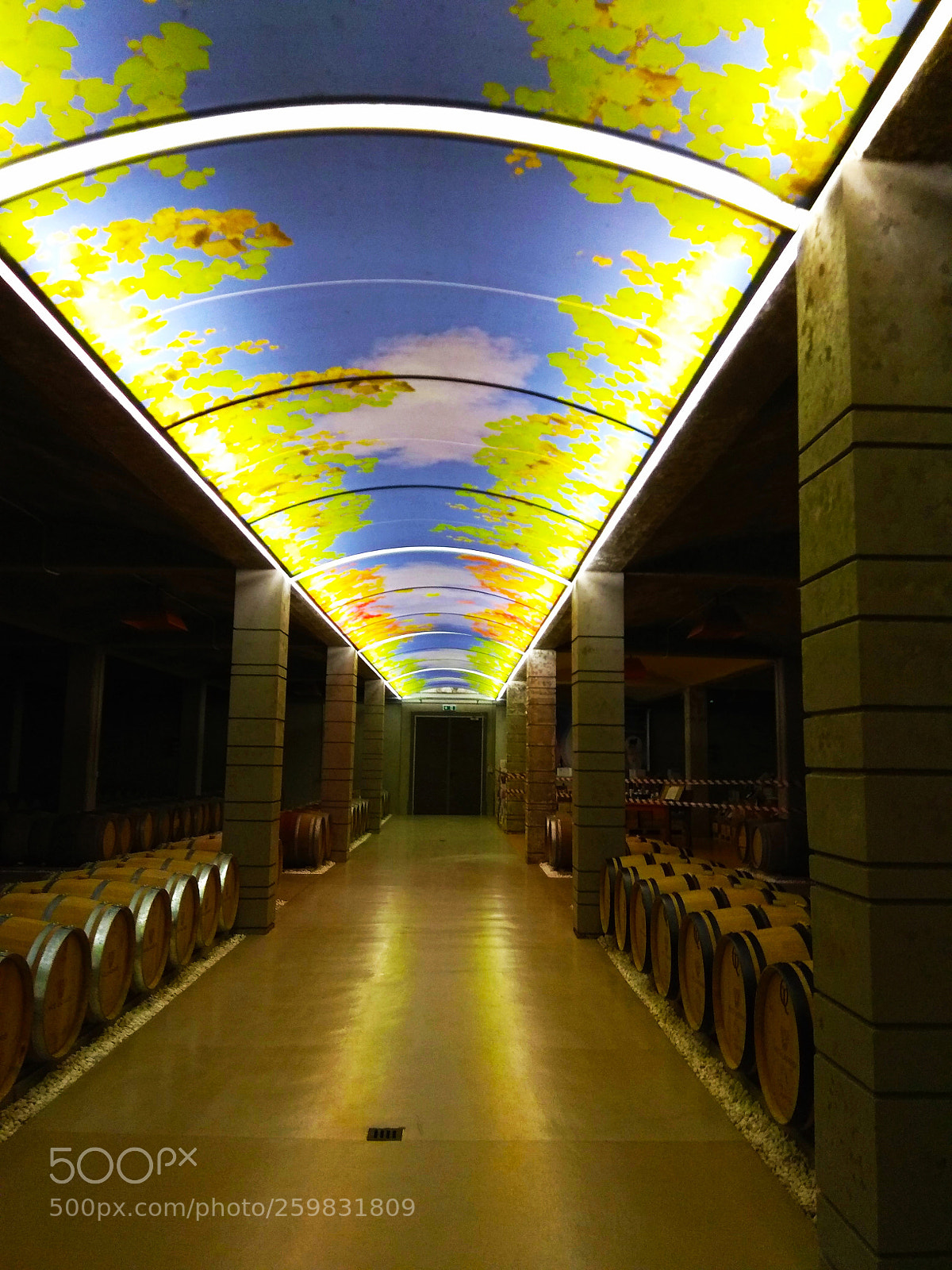 Xiaomi Redmi Note 4 sample photo. Winery domain nico lazaridi photography