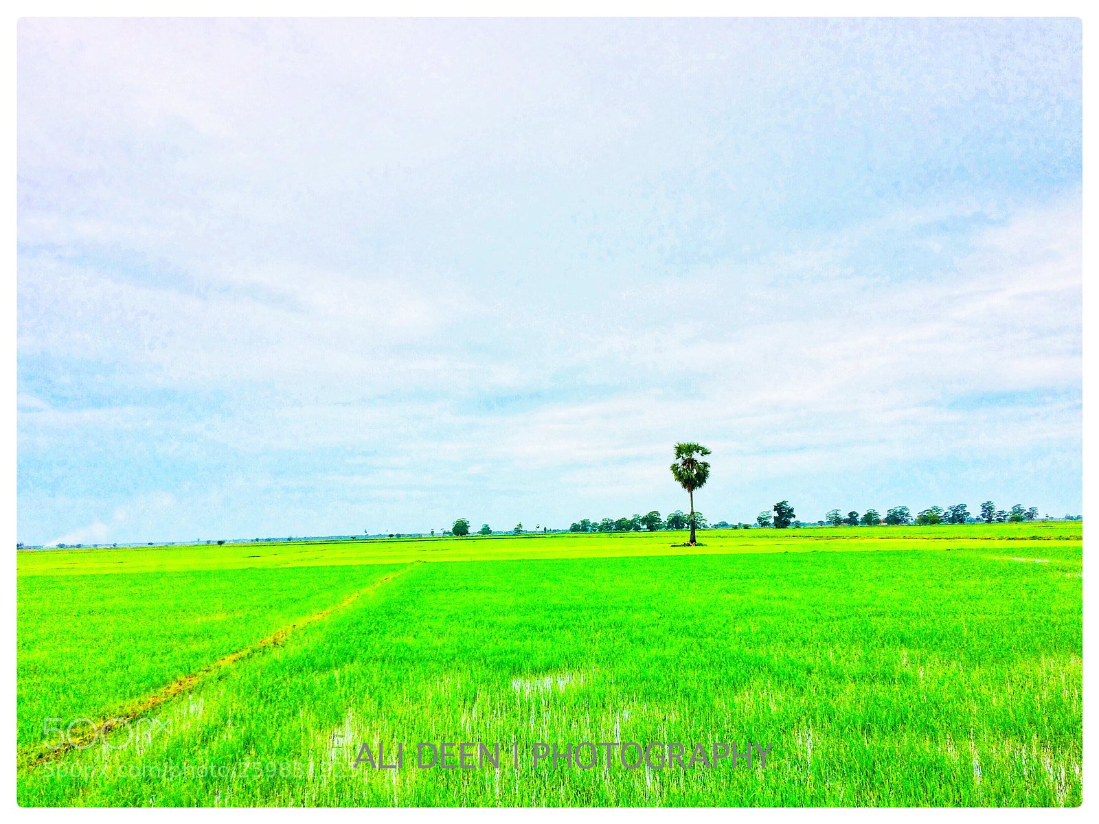 Apple iPhone 5s sample photo. Hometown  photography
