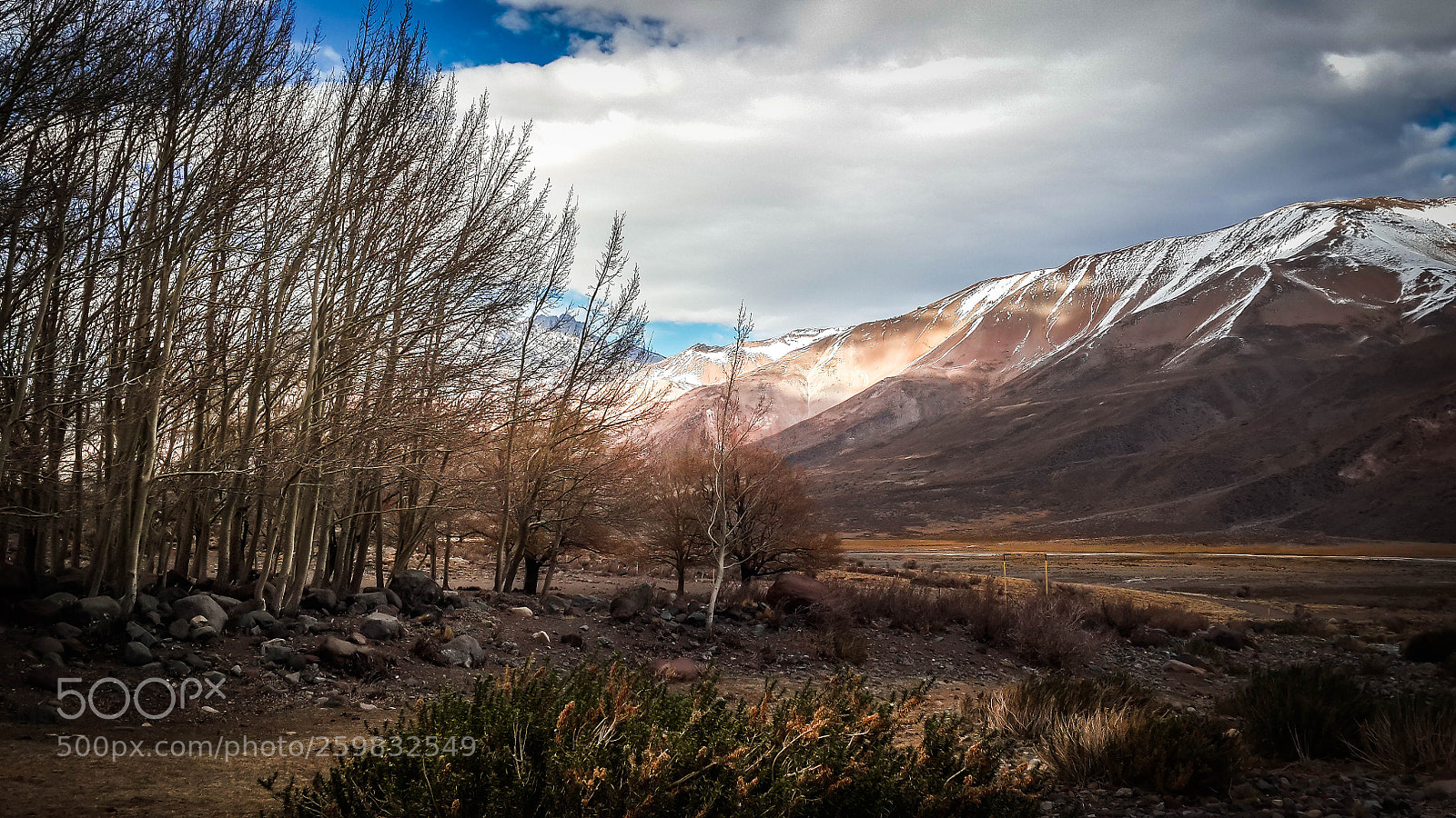 Samsung Galaxy S4 sample photo. Puesto soler - mendoza photography