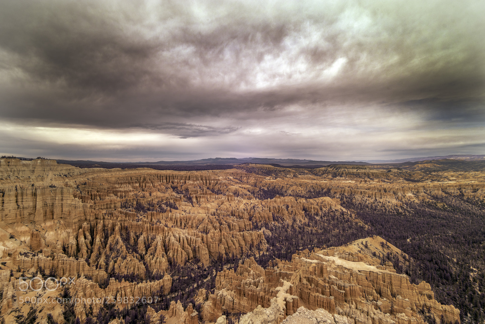 Sony a7R sample photo. Bryce canyon national park photography