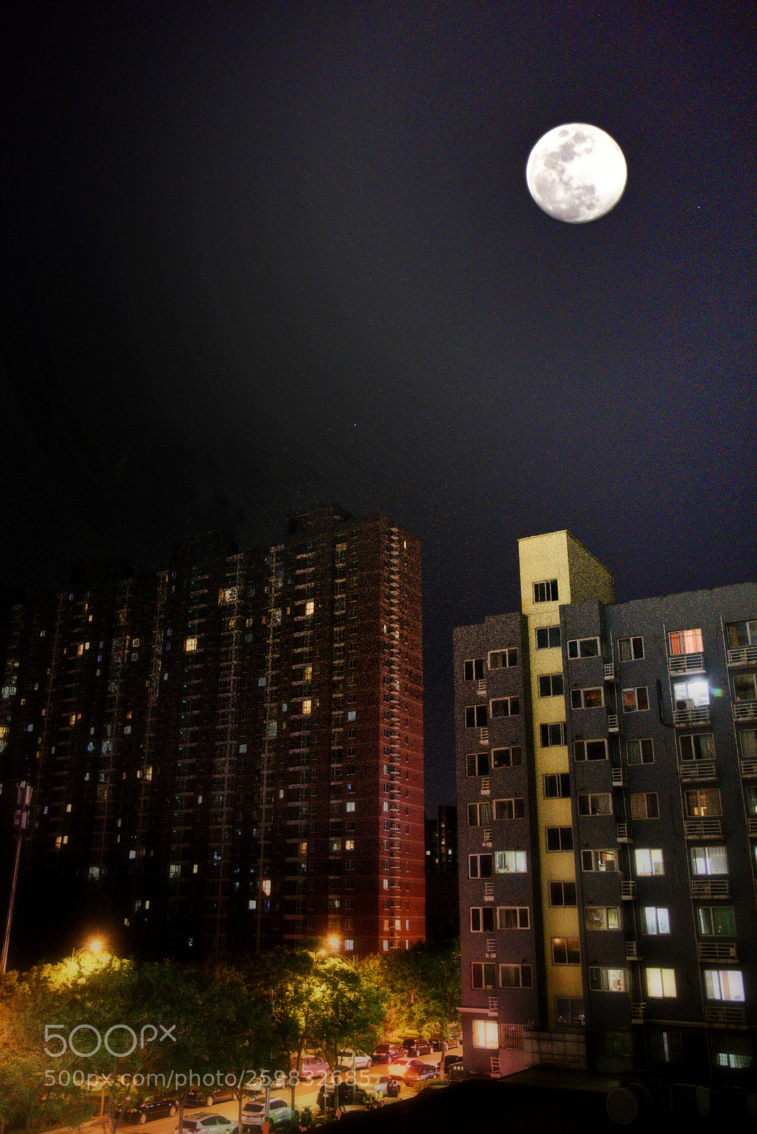 Nikon D750 sample photo. 月夜 photography