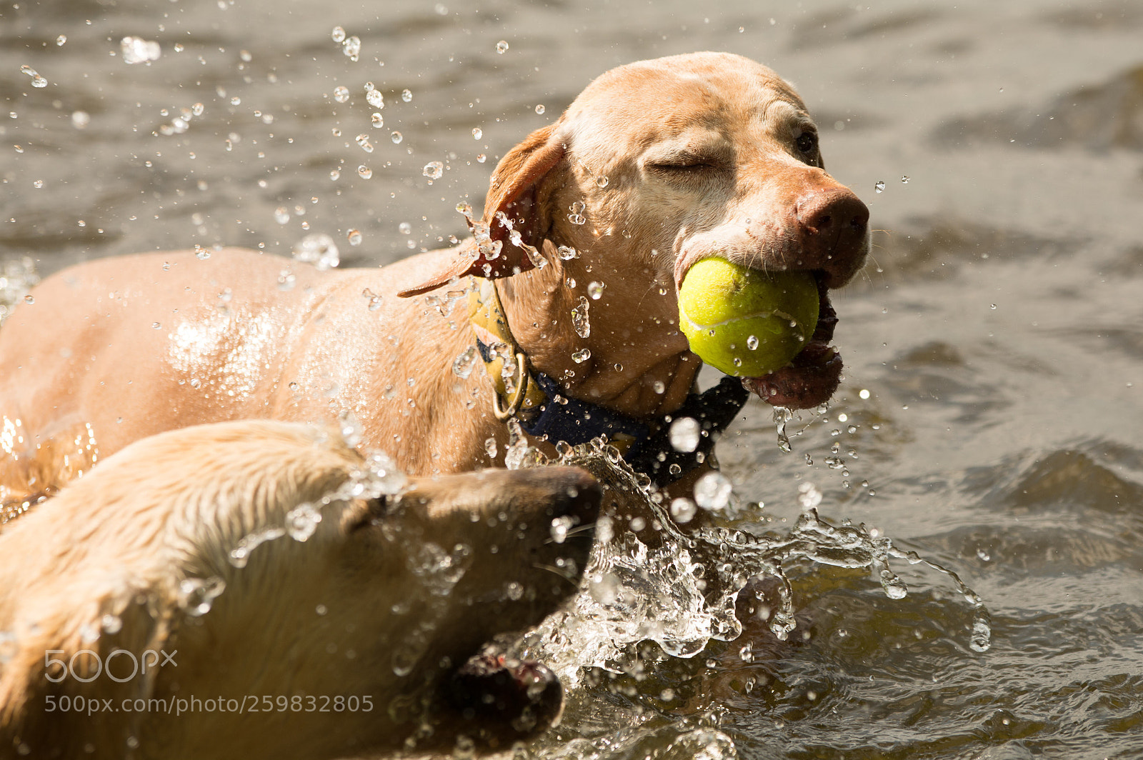 Nikon D7100 sample photo. Splashing photography