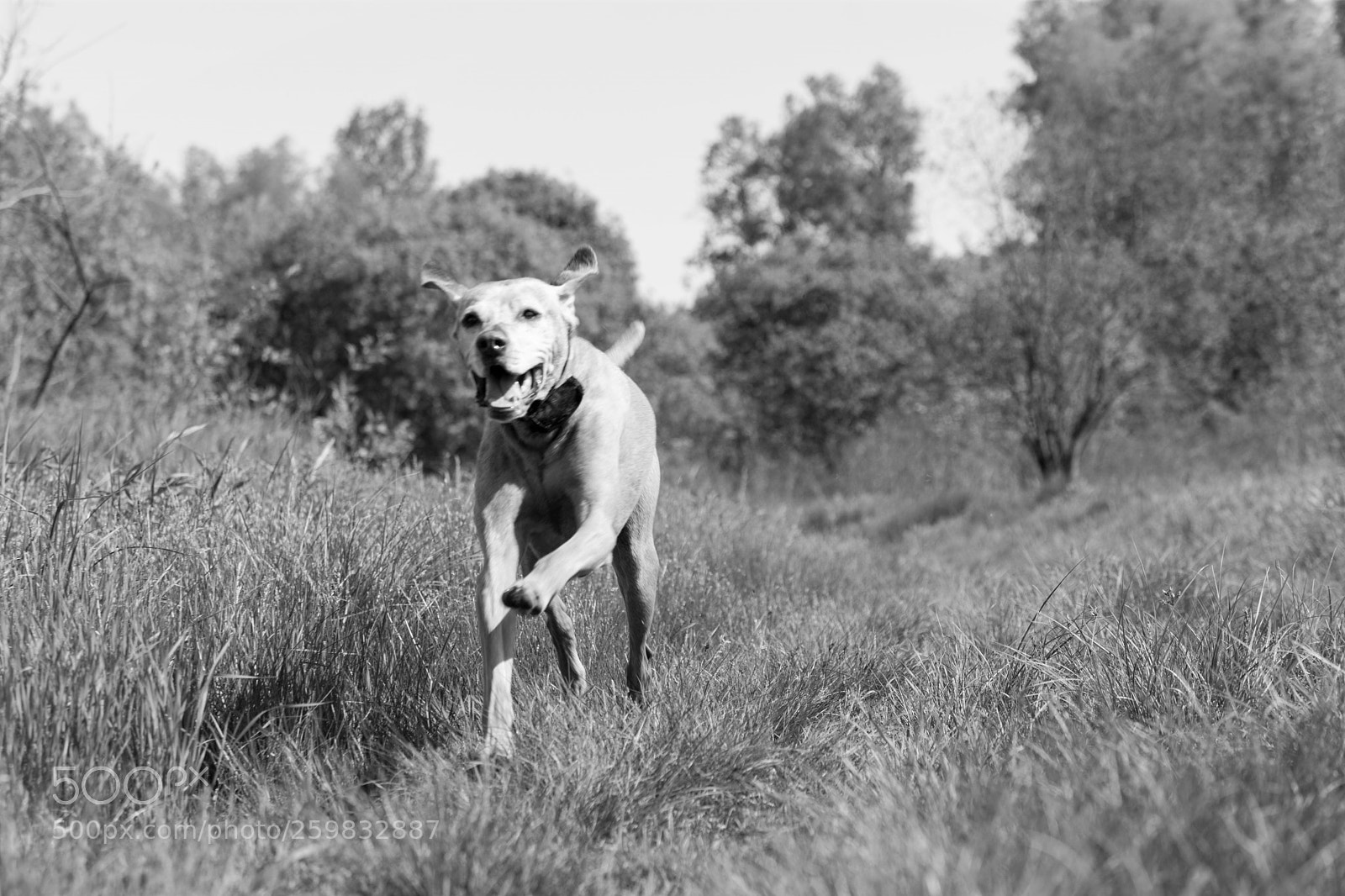 Nikon D7100 sample photo. Out and about photography