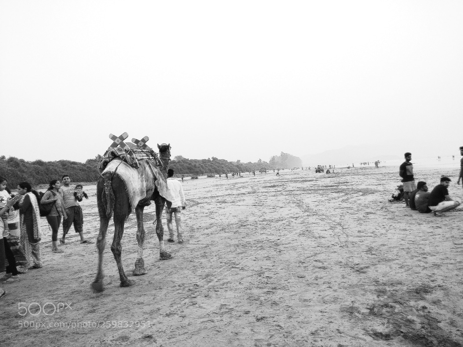 Xiaomi Redmi Note 4 sample photo. Black and white photography