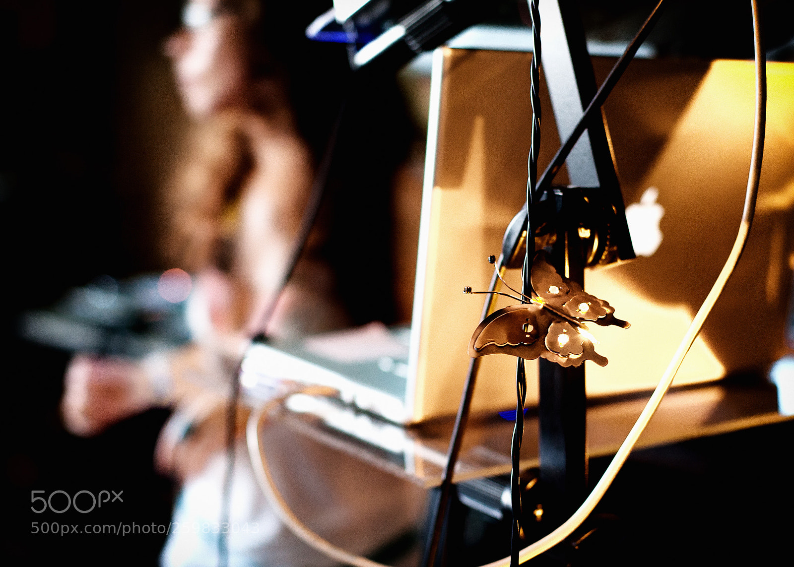Canon EOS 5D sample photo. Taline traxx photography
