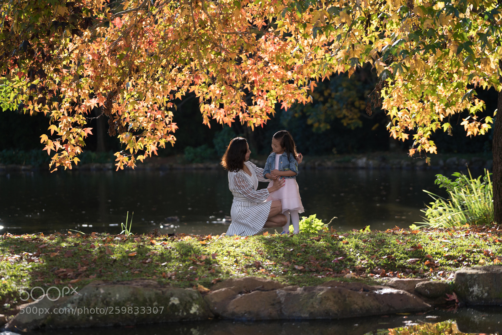 Sony a7R II sample photo. Autumn  photography