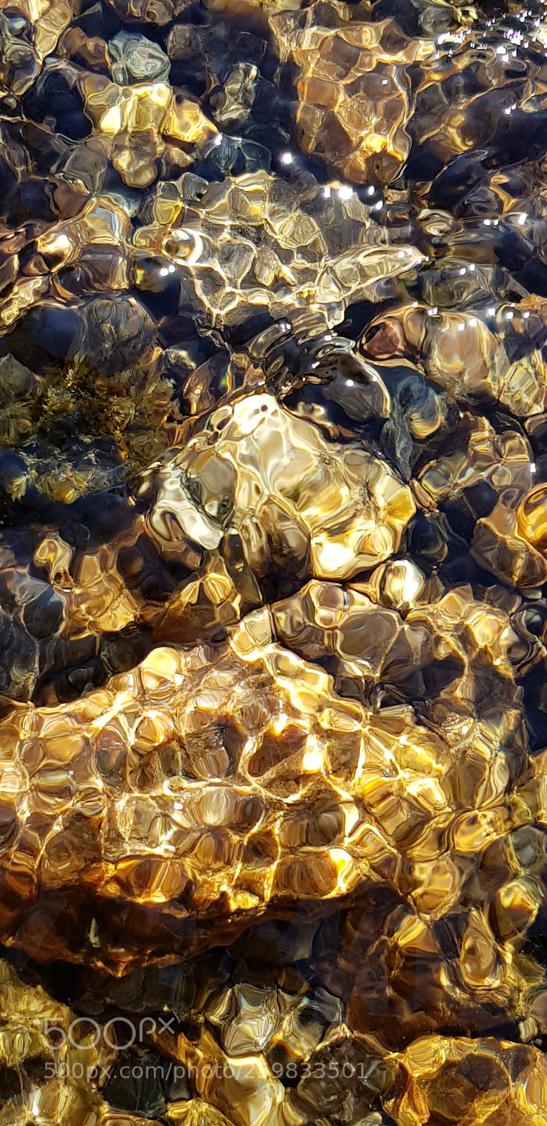 Samsung Galaxy S8 sample photo. Sun light photography
