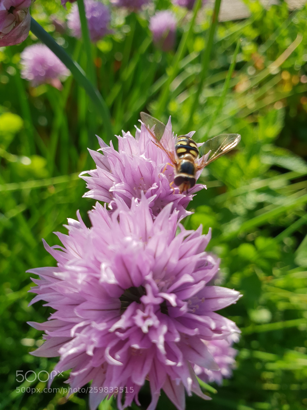 Samsung Galaxy S9 sample photo. Untitled photography