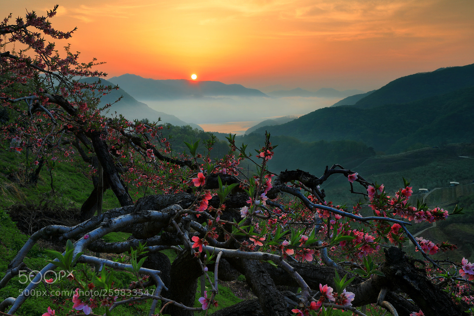 Canon EOS 5D Mark IV sample photo. Sunrise photography