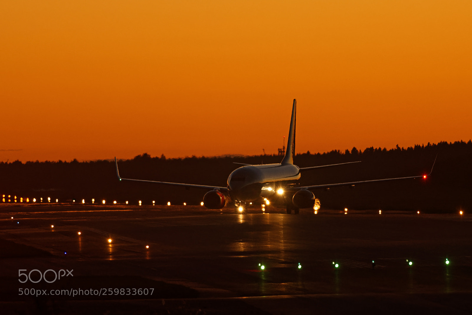 Nikon D500 sample photo. Boeing in the summer photography