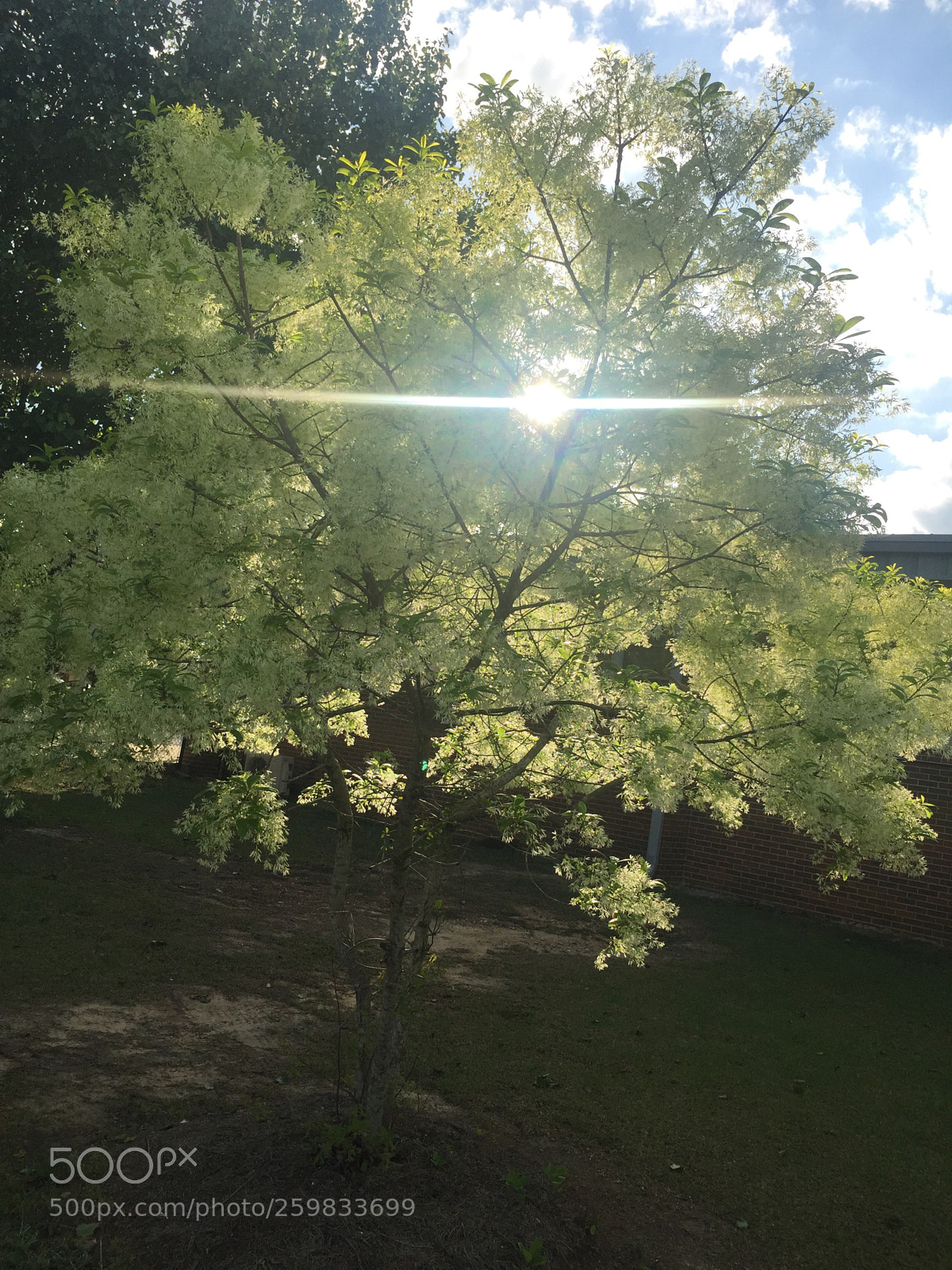 Apple iPhone 6 Plus sample photo. Untitled photography