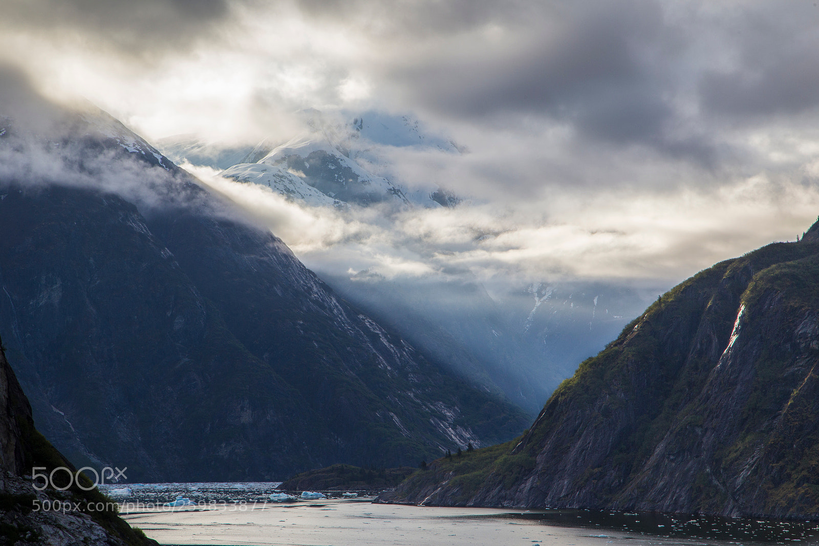 Canon EOS 6D sample photo. Tracy arm photography