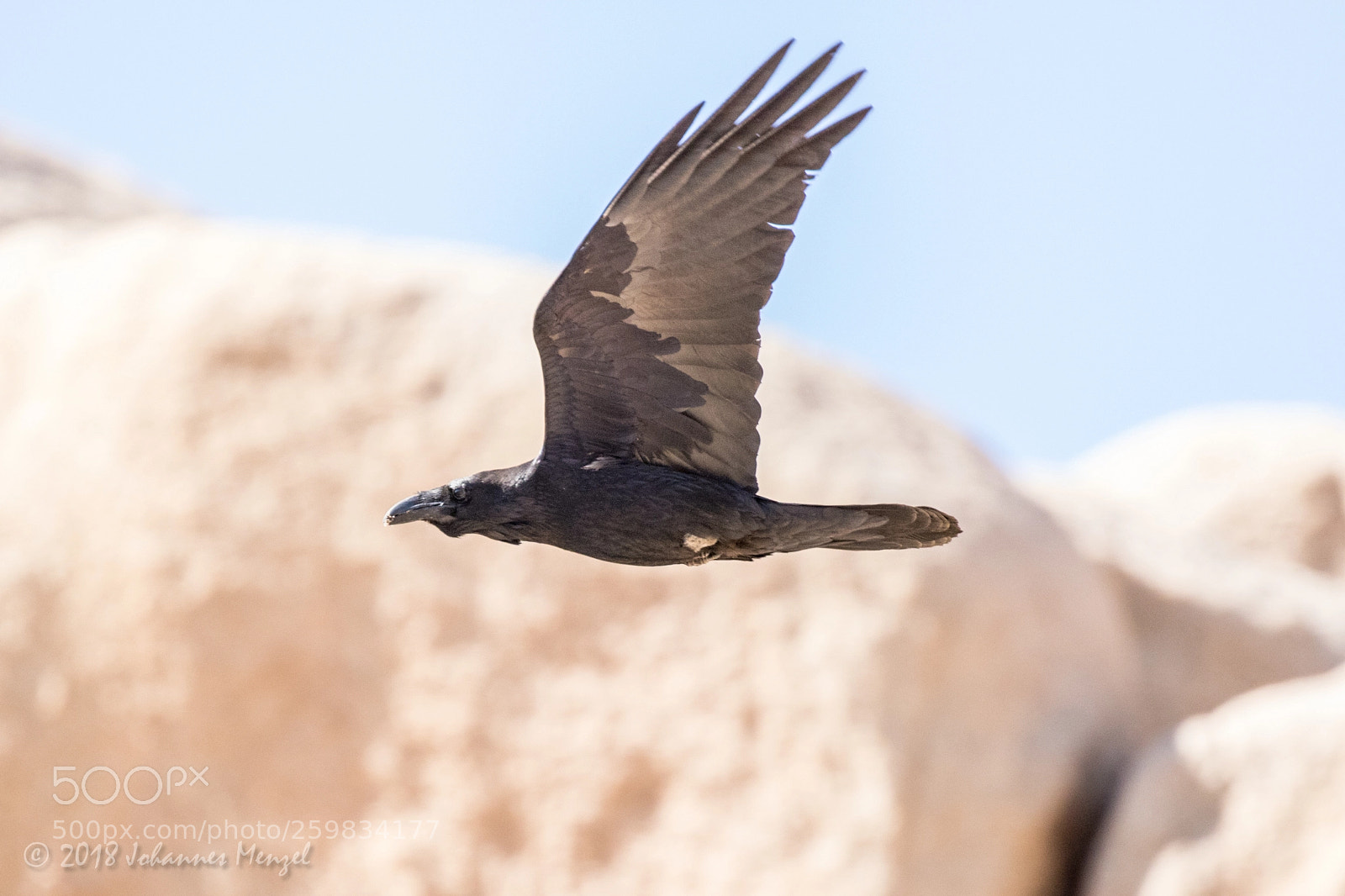 Canon EOS 7D Mark II sample photo. Rock raven photography