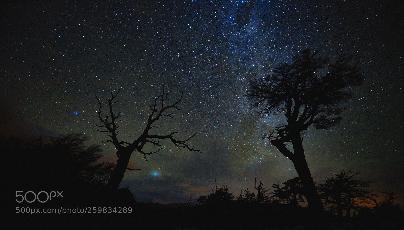 Sony a99 II sample photo. Night landscape with starry photography