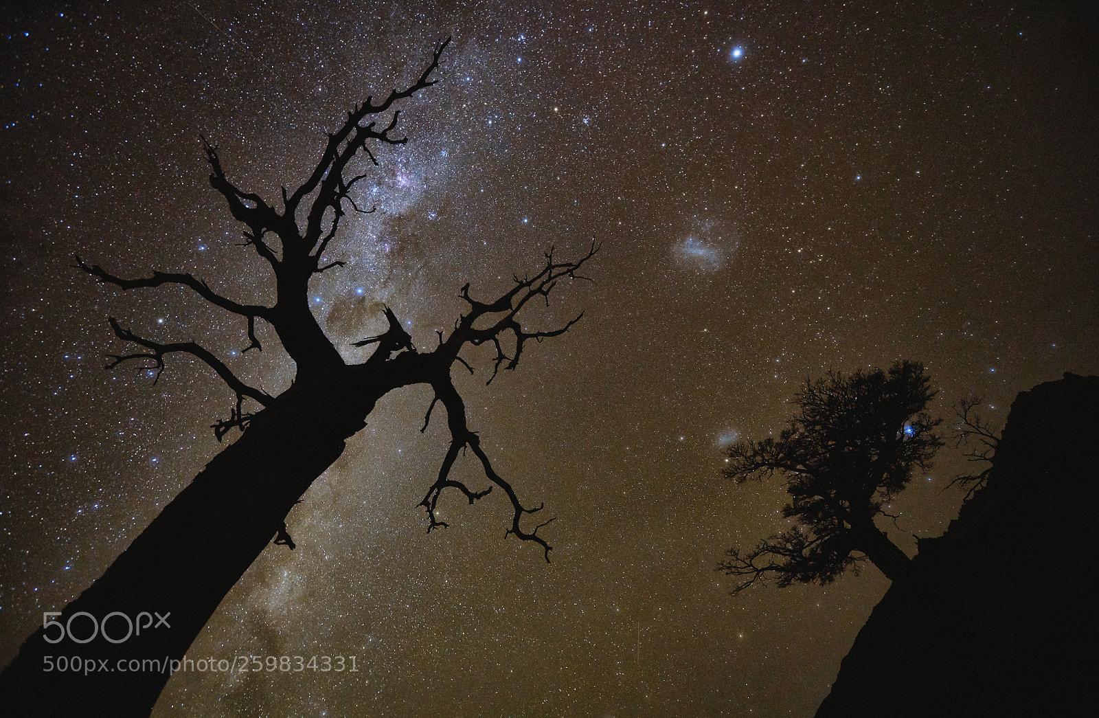 Sony a99 II sample photo. Night landscape with starry photography
