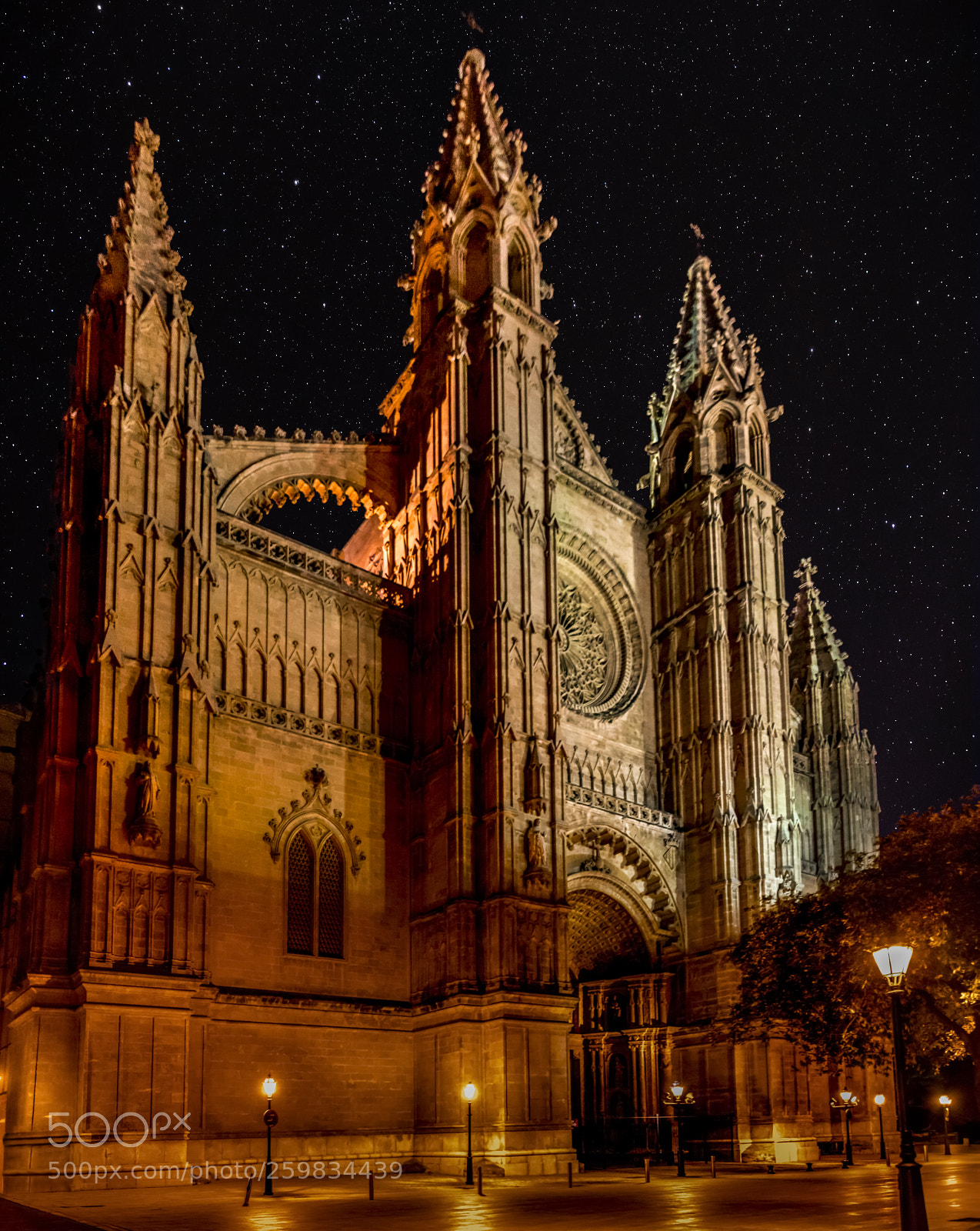 Nikon D5500 sample photo. Palma mallorca cathedral at photography