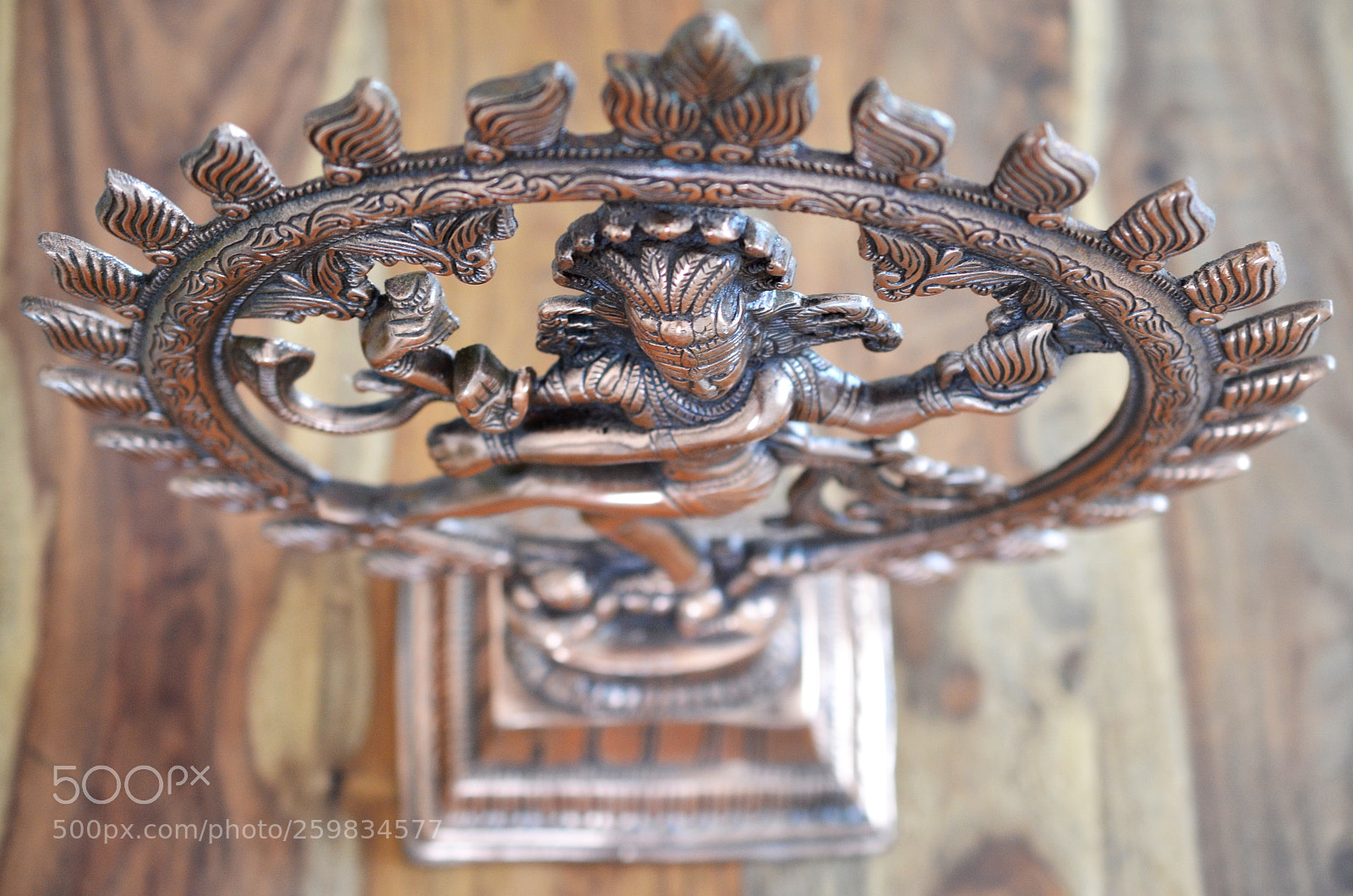 Nikon D5100 sample photo. Fullsizeoutput ae photography