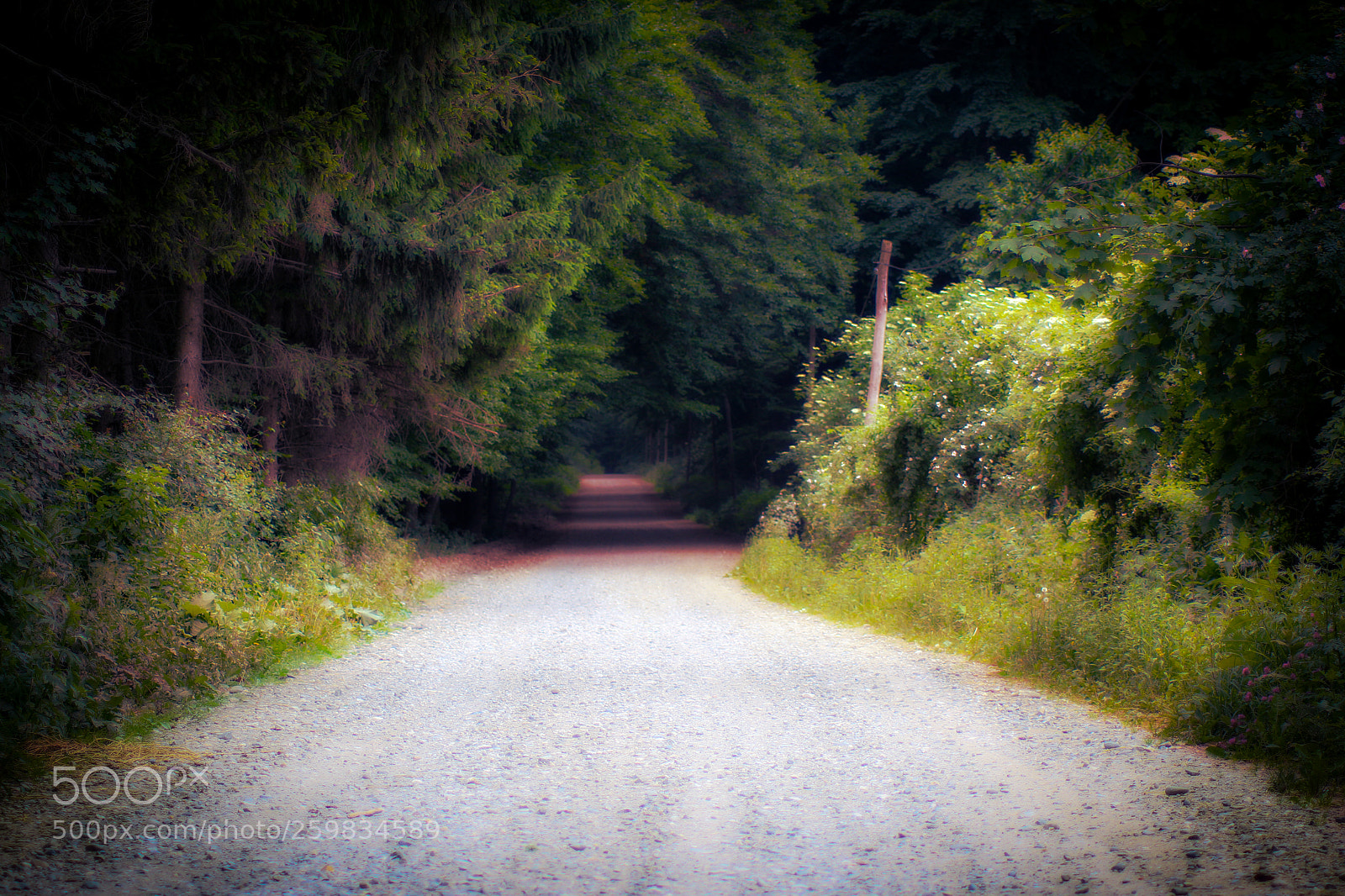 Canon EOS 70D sample photo. Untitled photography