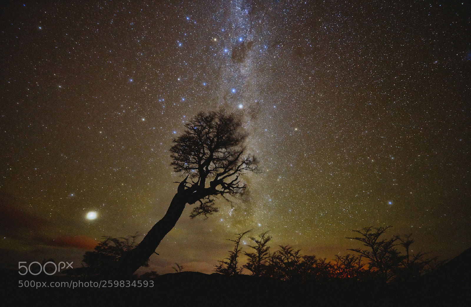 Sony a99 II sample photo. Night landscape with starry photography