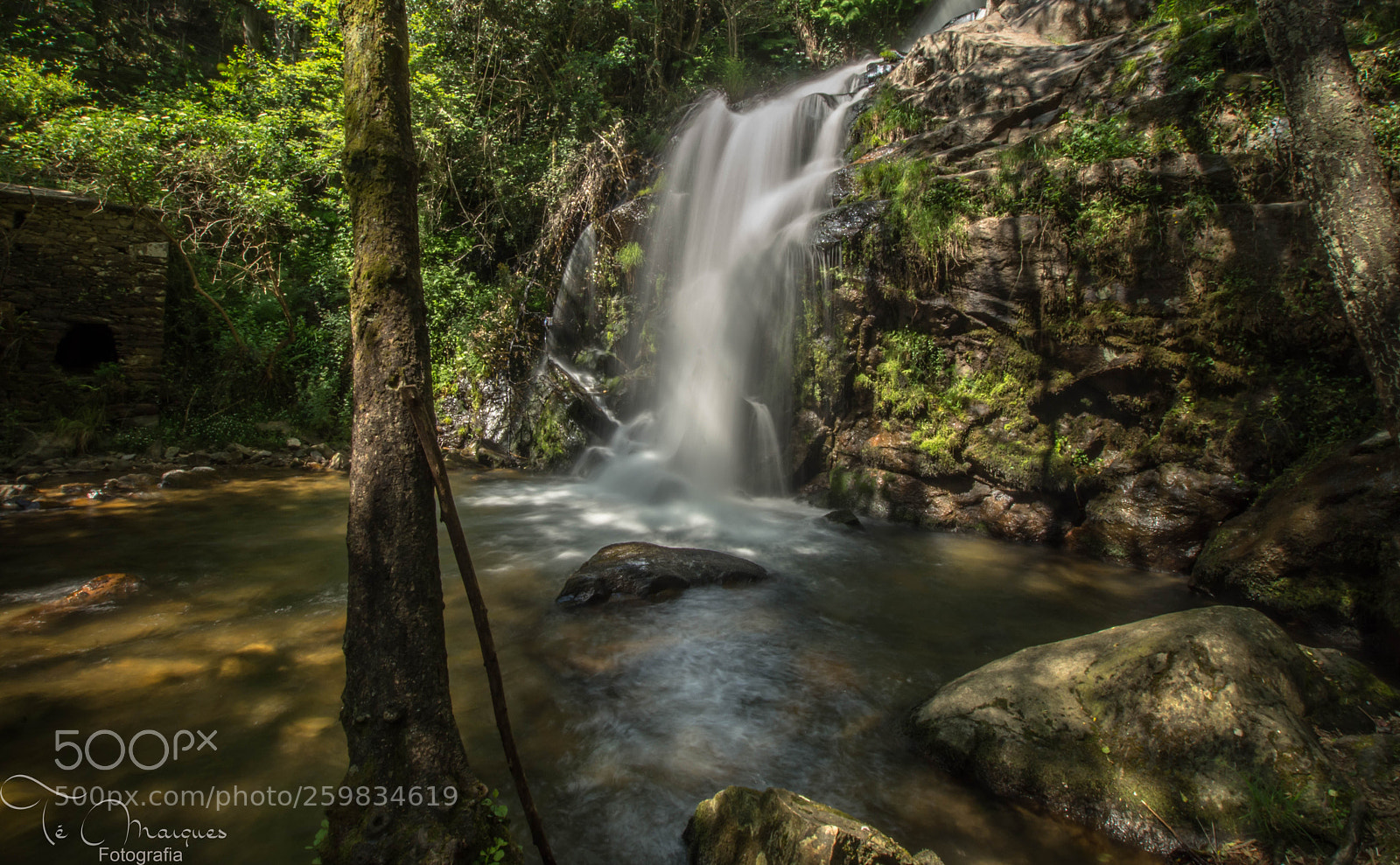 Nikon D7200 sample photo. Listening water photography