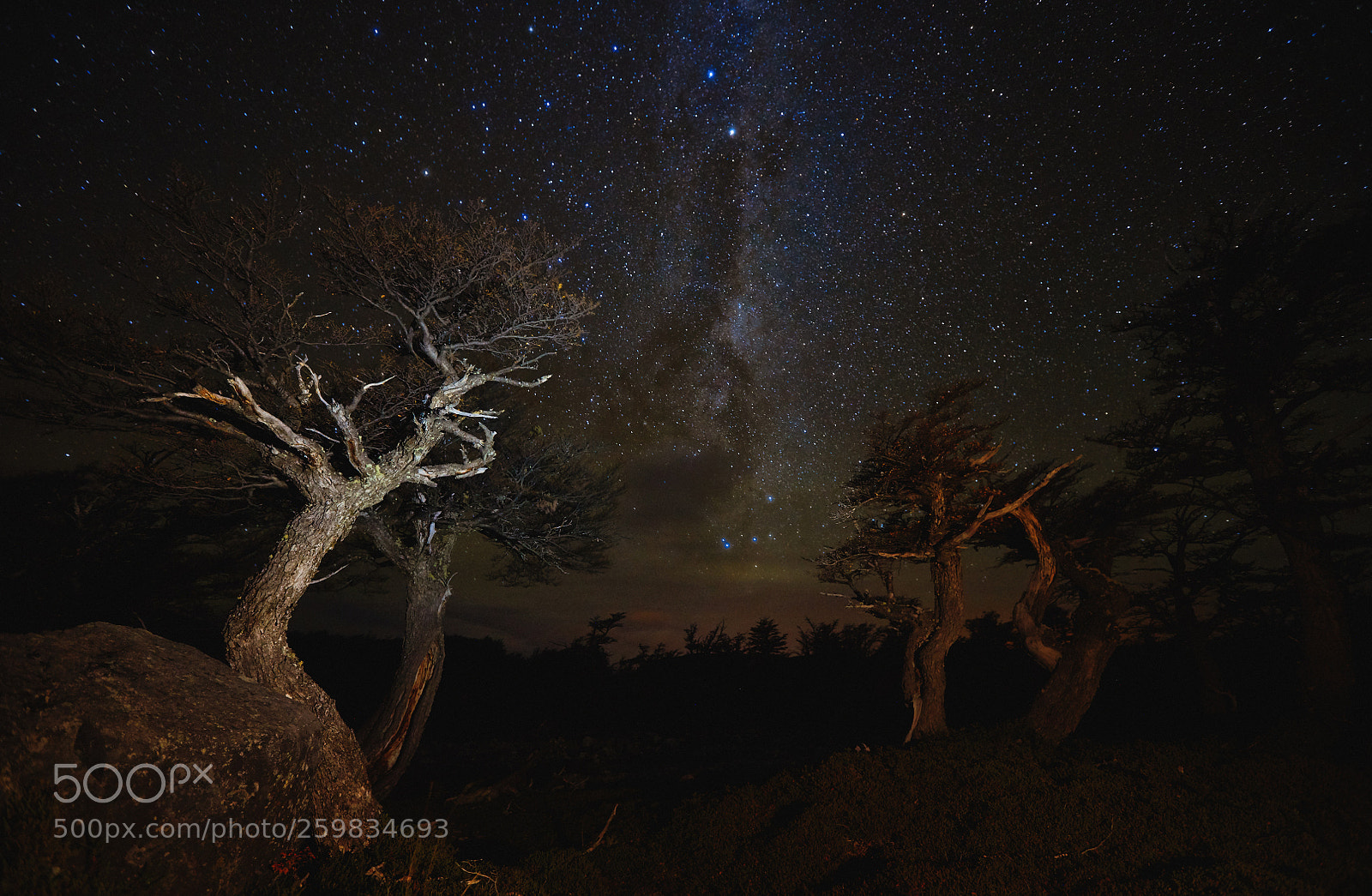 Sony a99 II sample photo. Night landscape with starry photography
