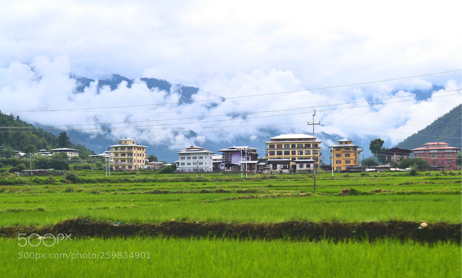 Nikon D3100 sample photo. Cloudy morning photography