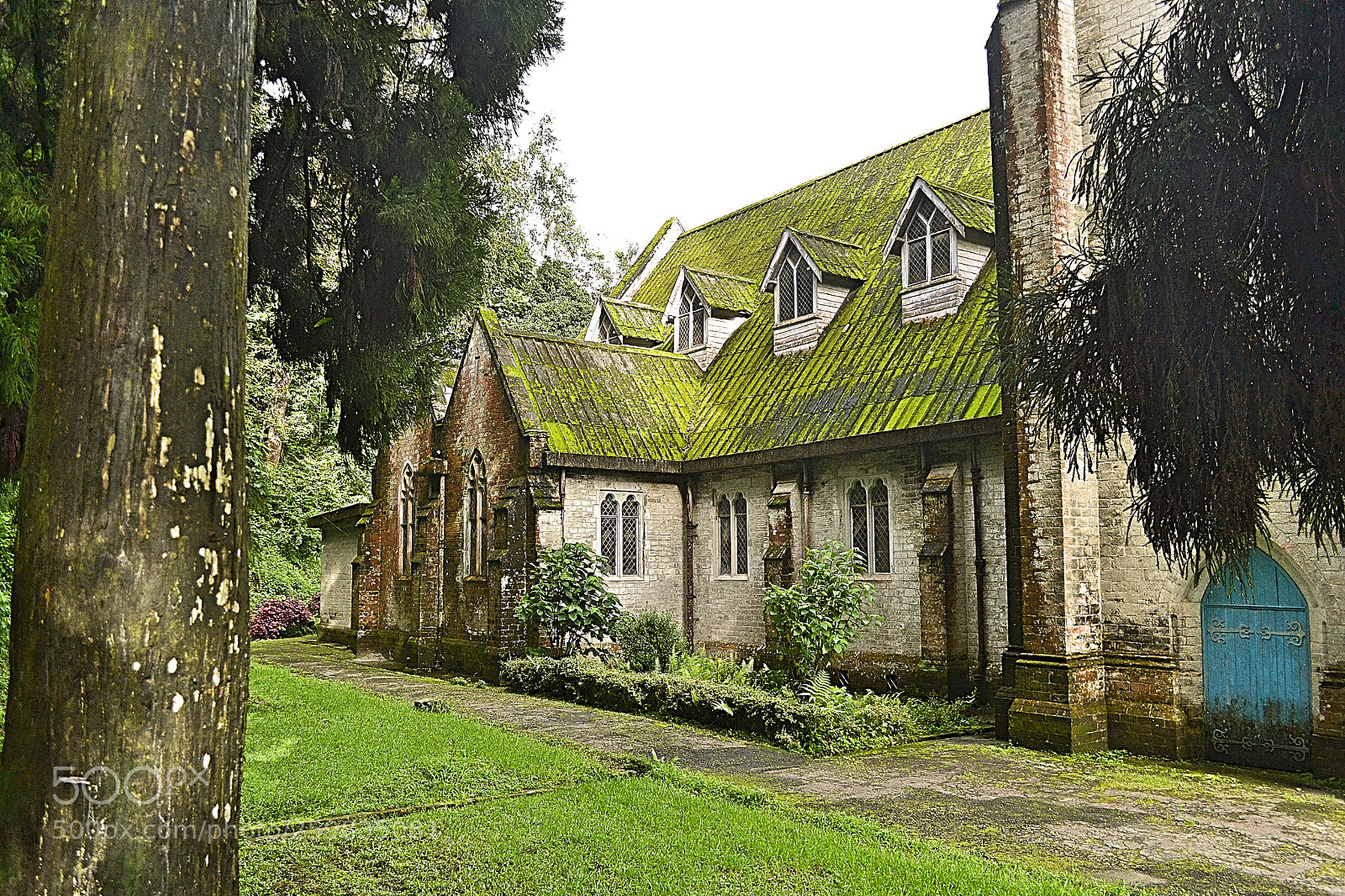 Nikon D3100 sample photo. Church for dr. graham photography
