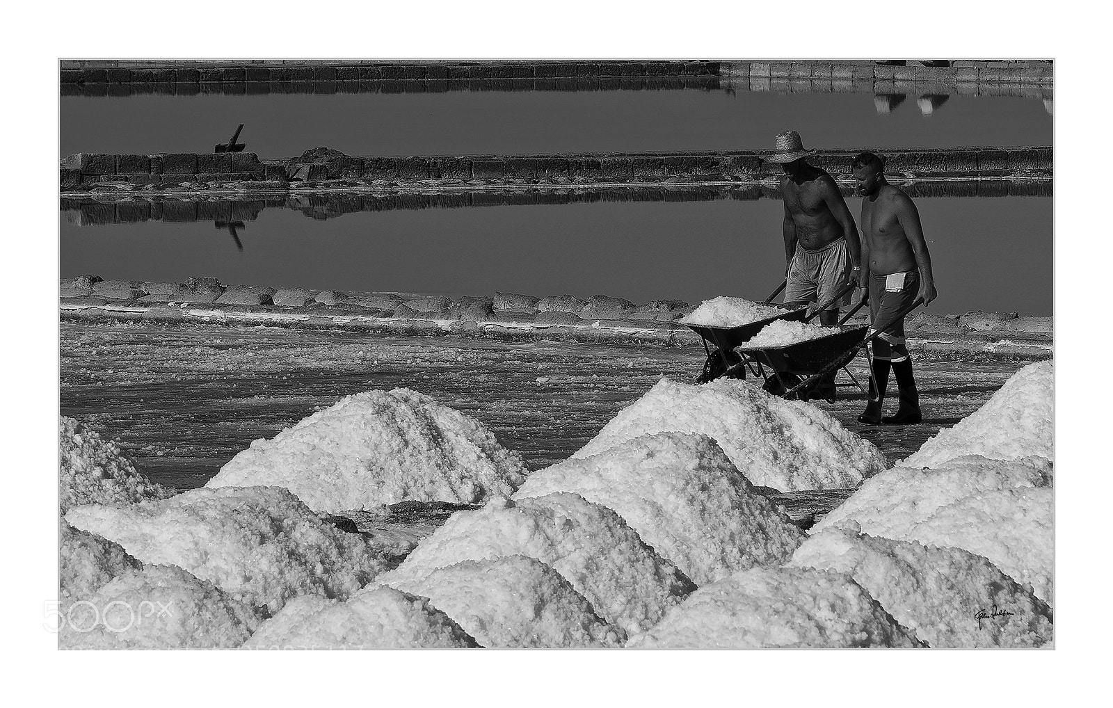 Nikon D800 sample photo. Hard work photography