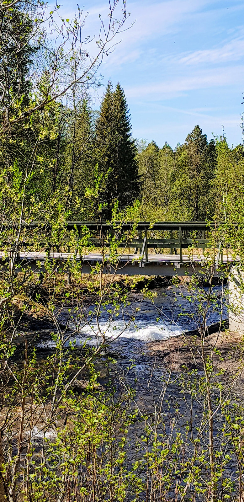 Samsung Galaxy S8 sample photo. Bridge photography