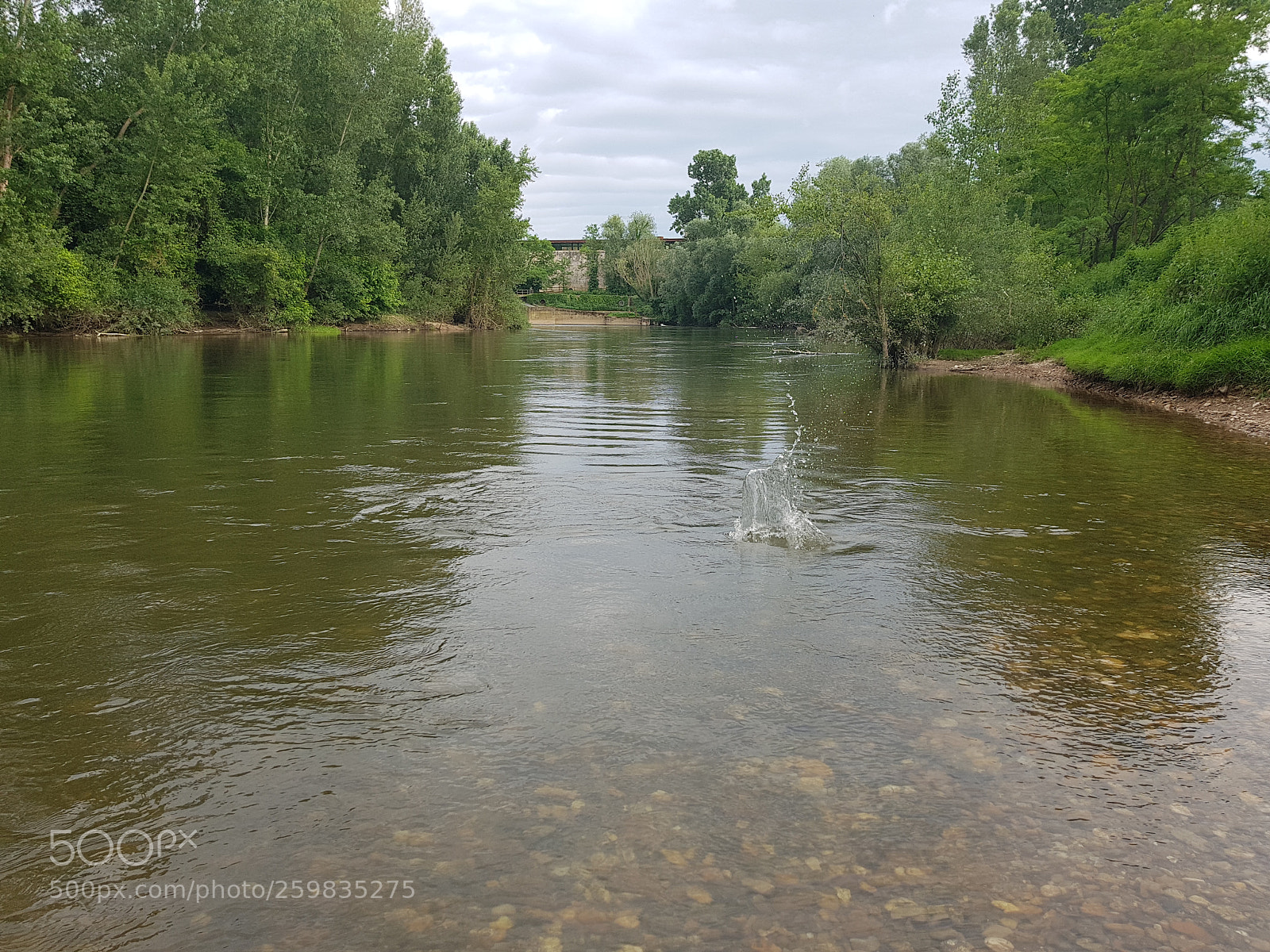 Samsung Galaxy S8 sample photo. Untitled photography