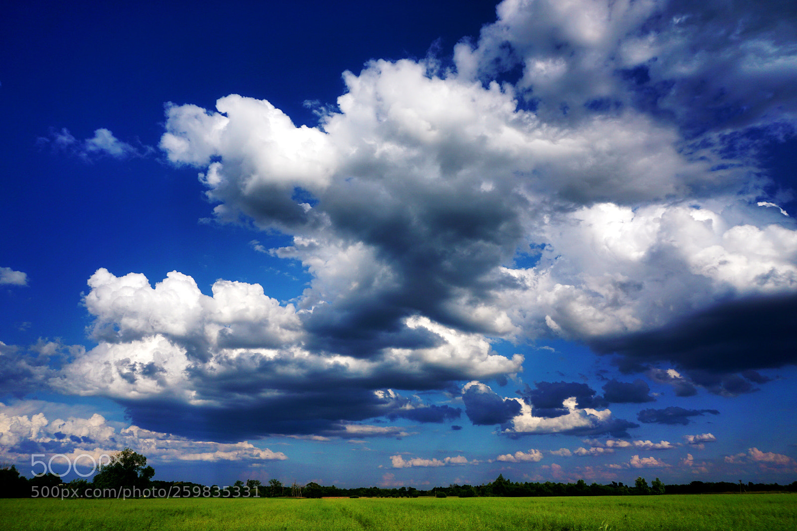 Sony a6000 sample photo. Cloudy day photography
