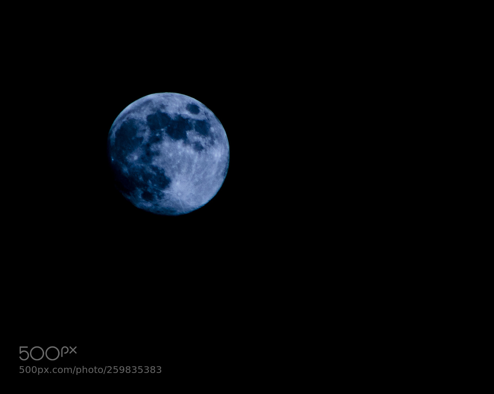 Nikon D7100 sample photo. Untitled photography