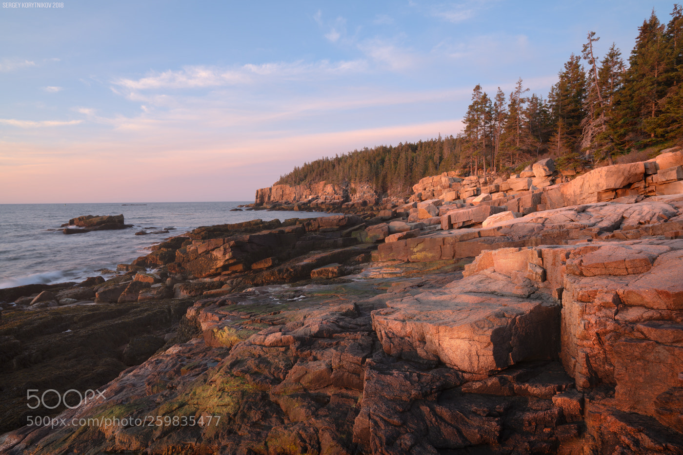 Sony a7R III sample photo. Acadia national park photography