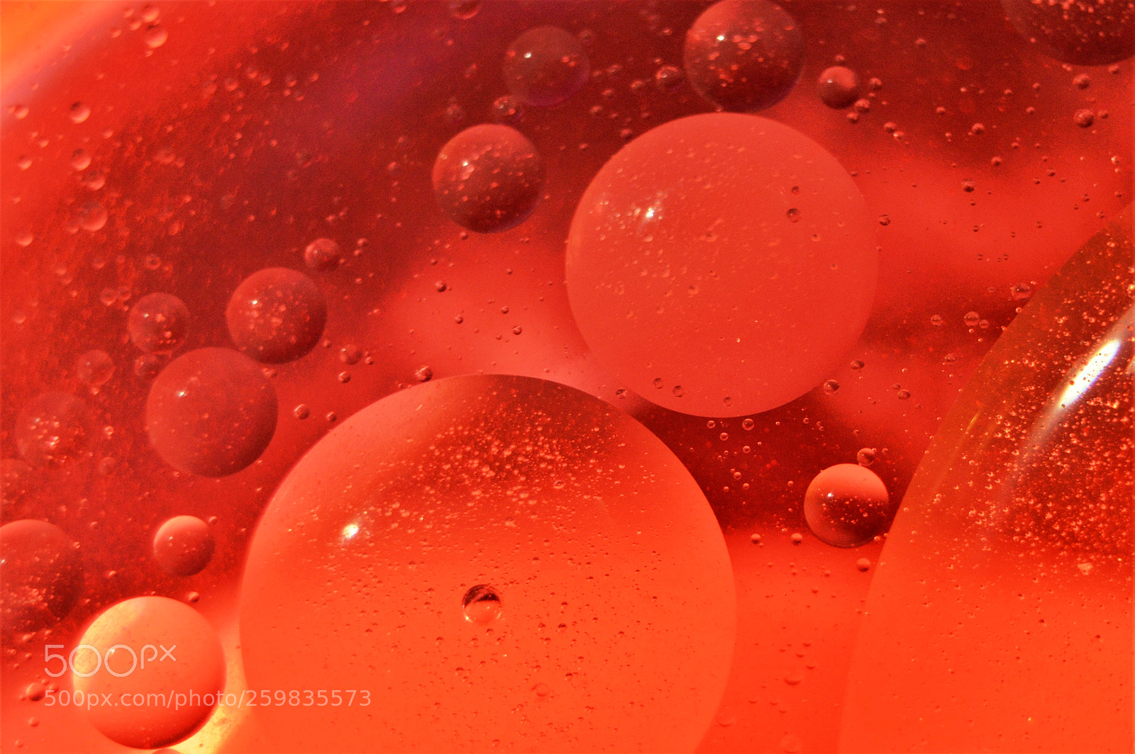 Nikon D3200 sample photo. Lost in space photography