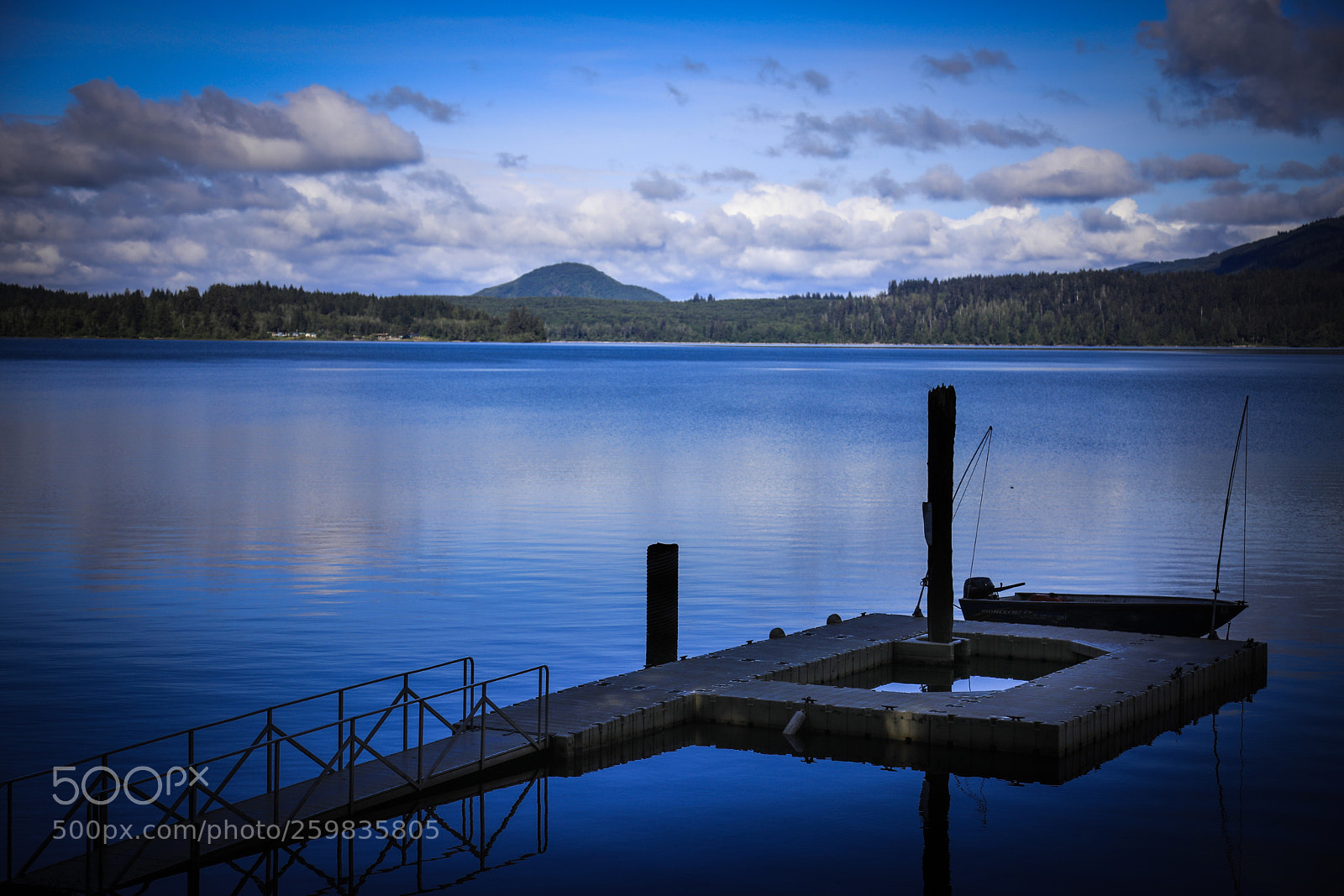 Canon EOS 5D Mark IV sample photo. Lake quinault photography