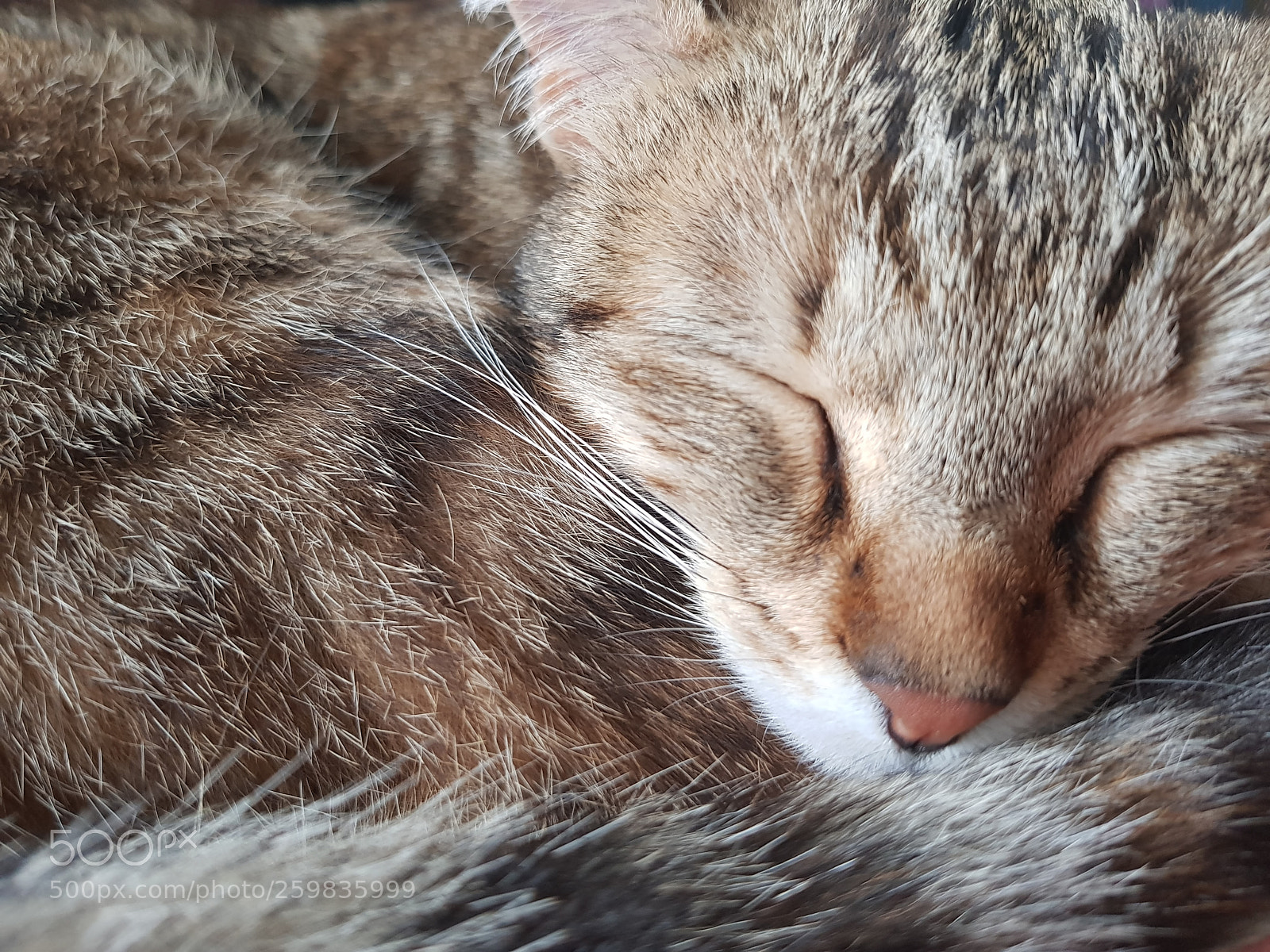 Samsung Galaxy S8 sample photo. Untitled photography