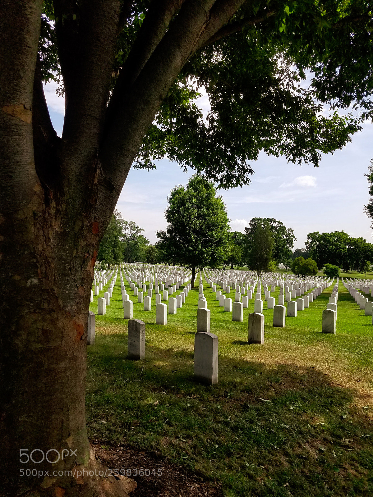 Samsung Galaxy S7 sample photo. Happy memorial day photography