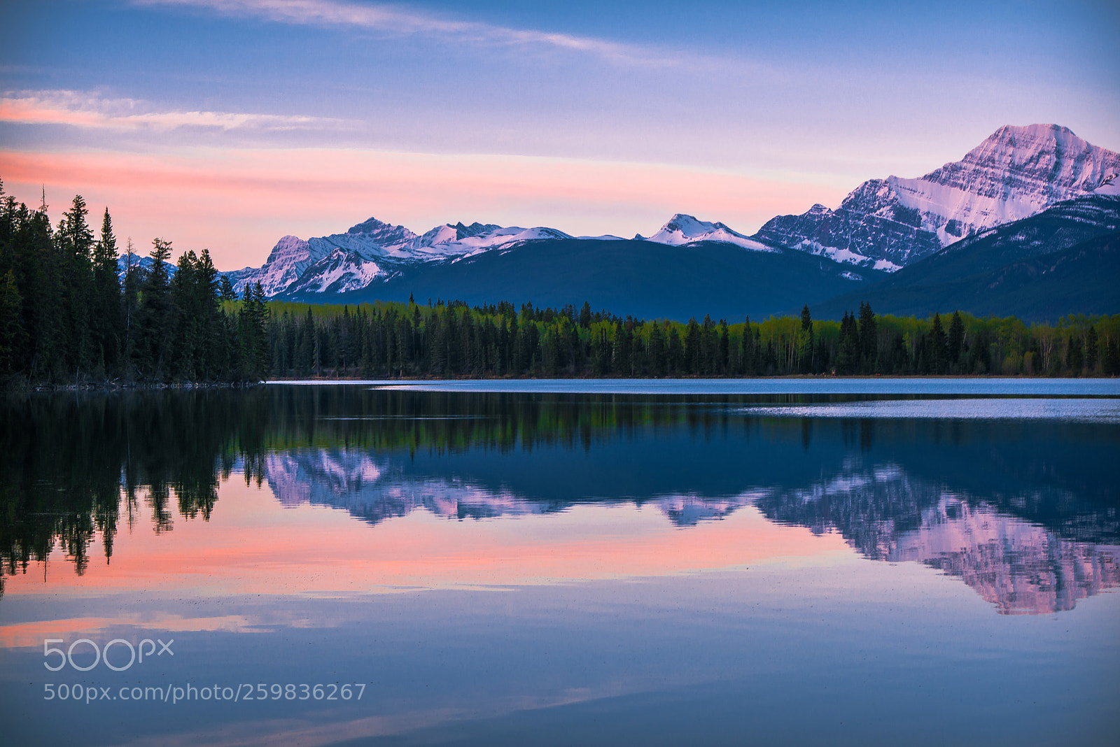 Nikon D800 sample photo. Morning reflections photography